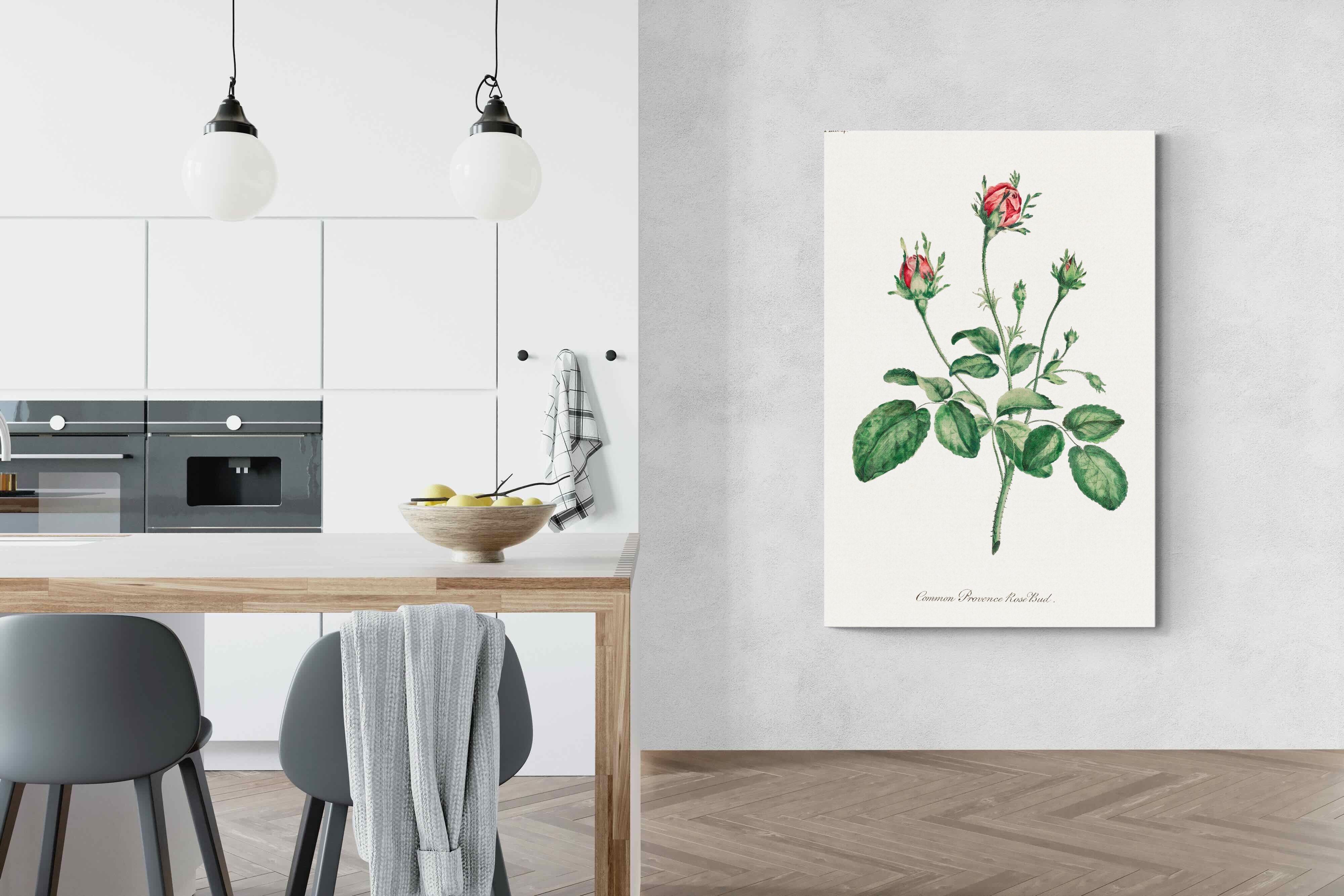 Pixalot Quiet Provence