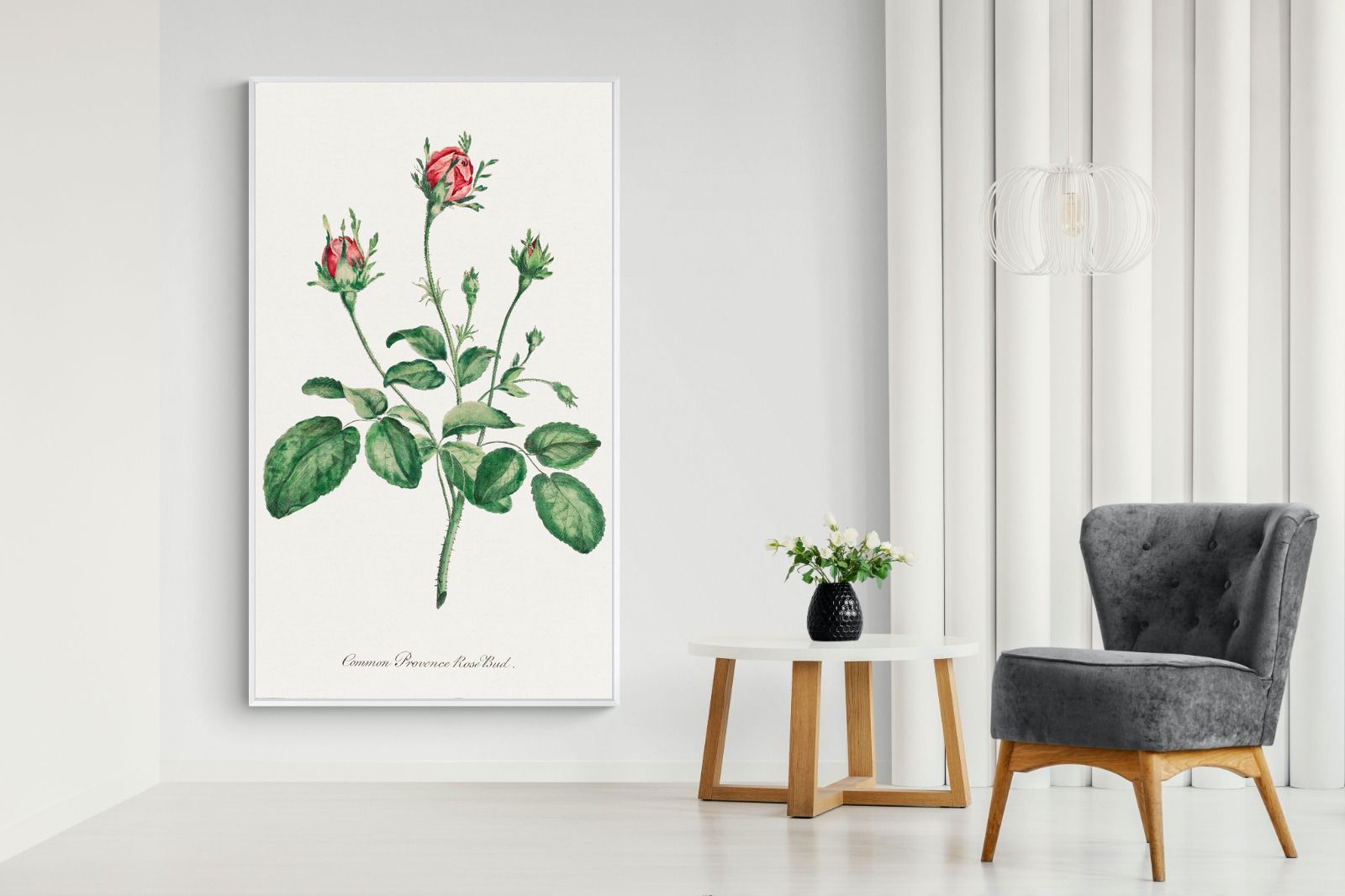 Pixalot Quiet Provence