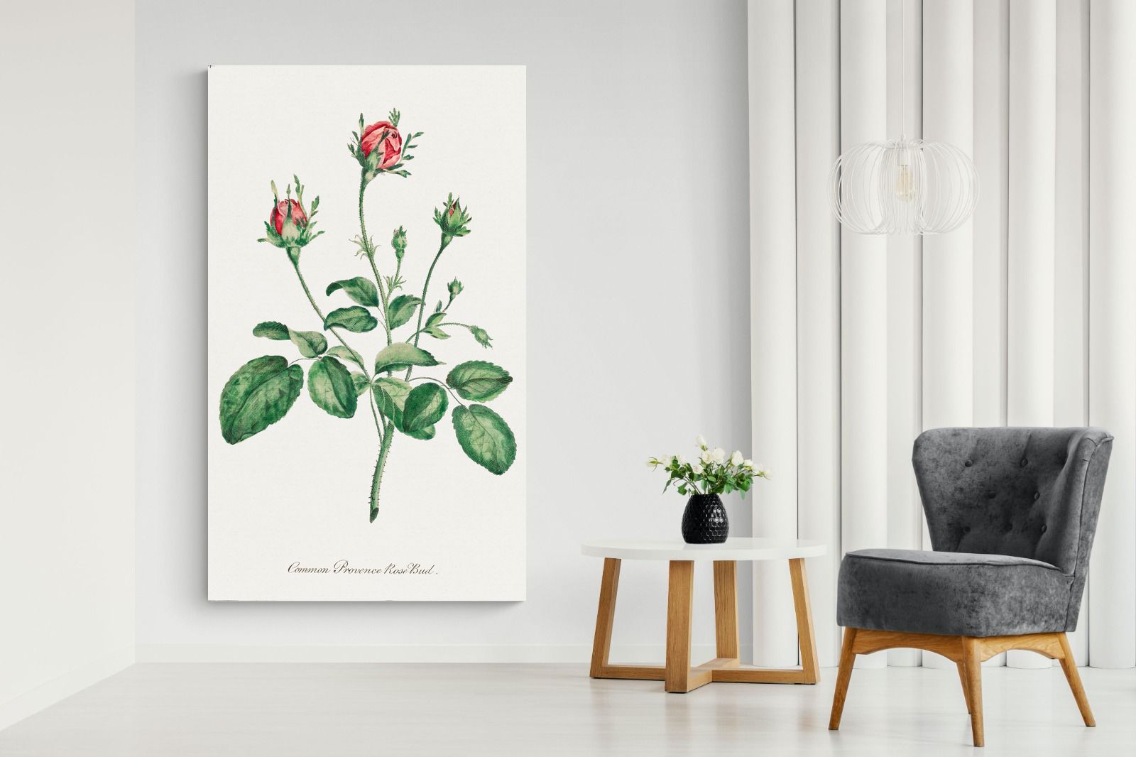 Pixalot Quiet Provence