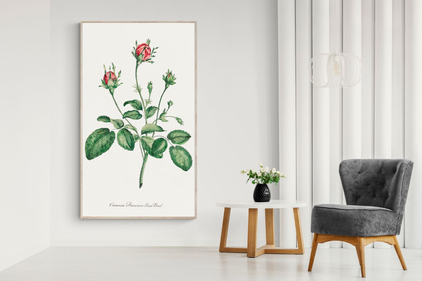 Pixalot Quiet Provence