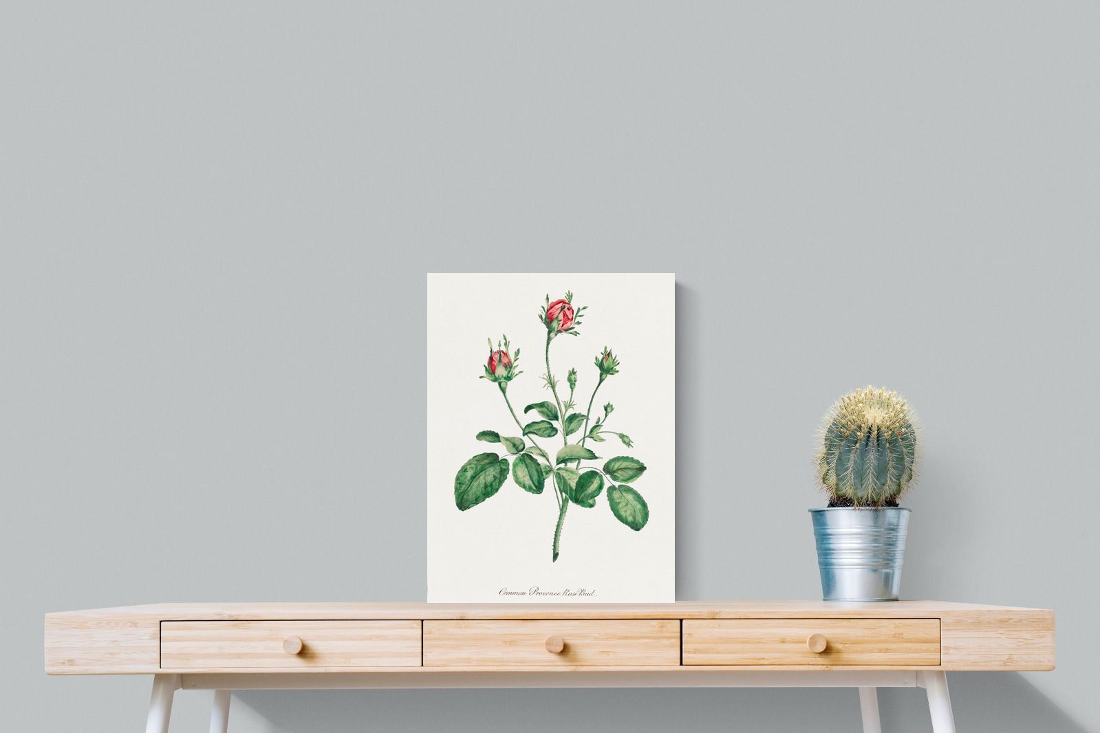 Pixalot Quiet Provence