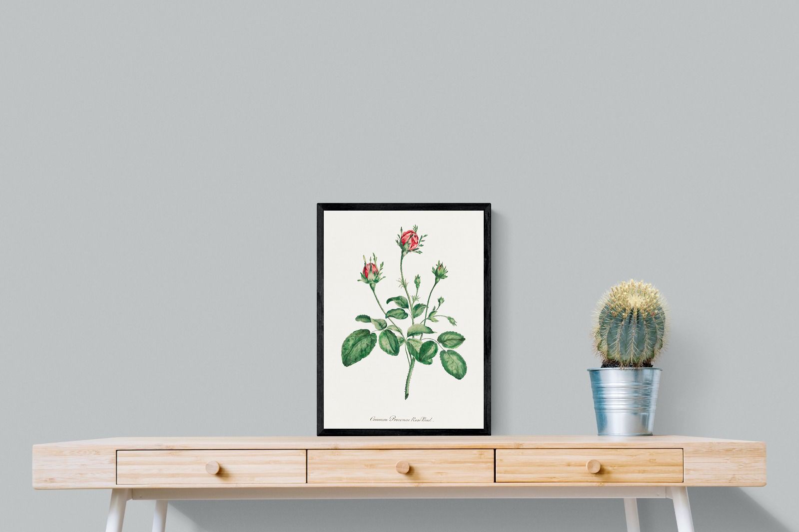 Pixalot Quiet Provence