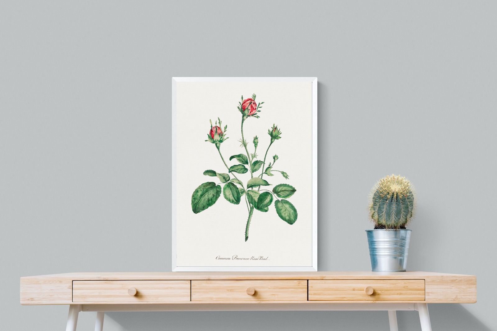 Pixalot Quiet Provence