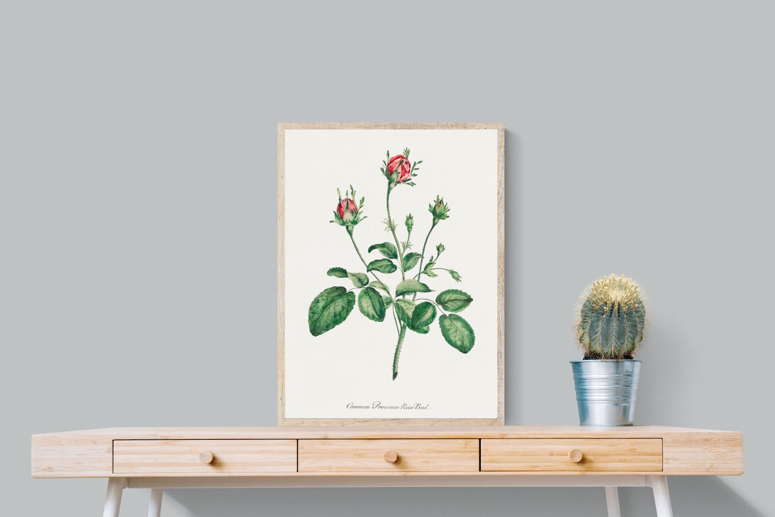 Pixalot Quiet Provence