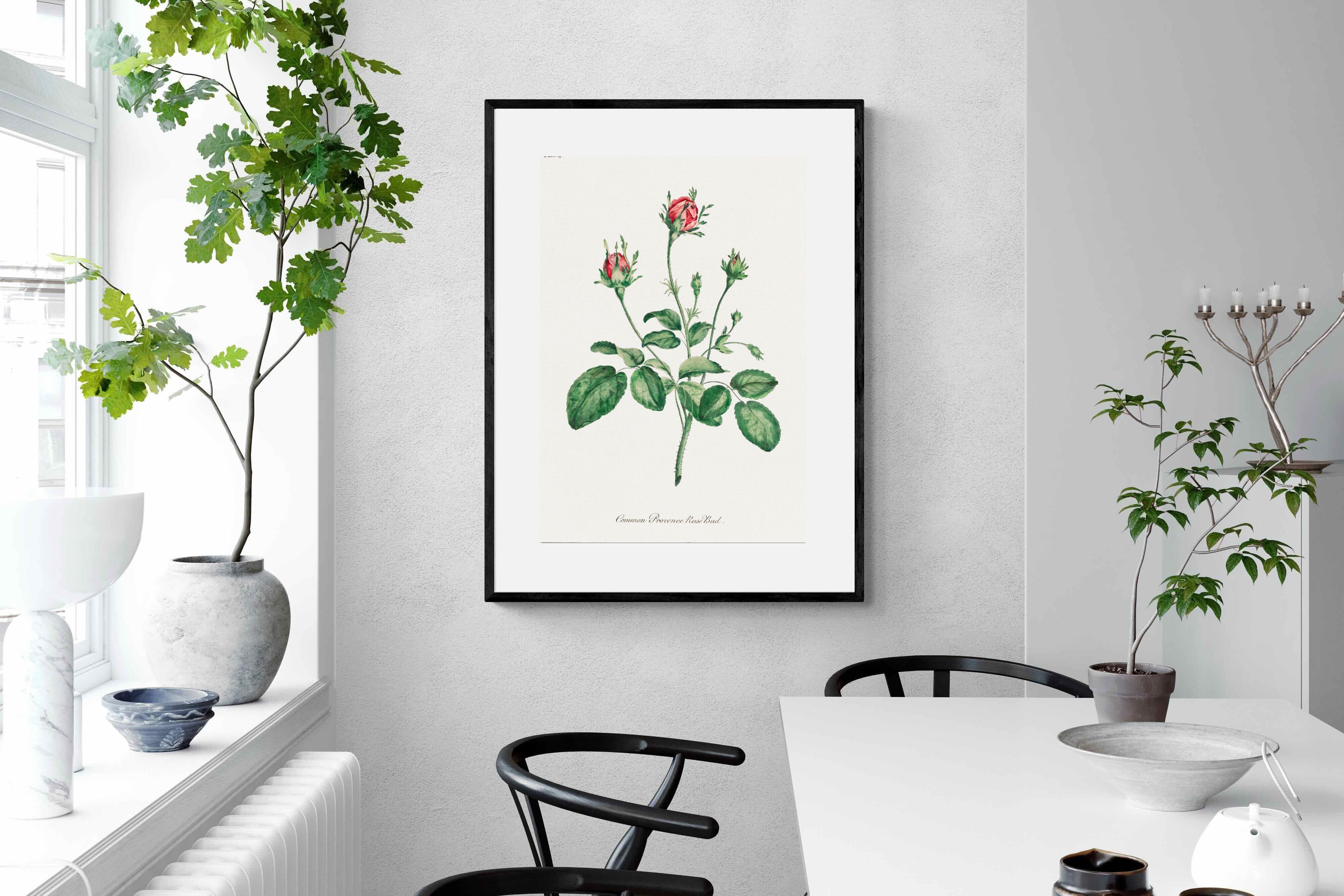 Pixalot Quiet Provence