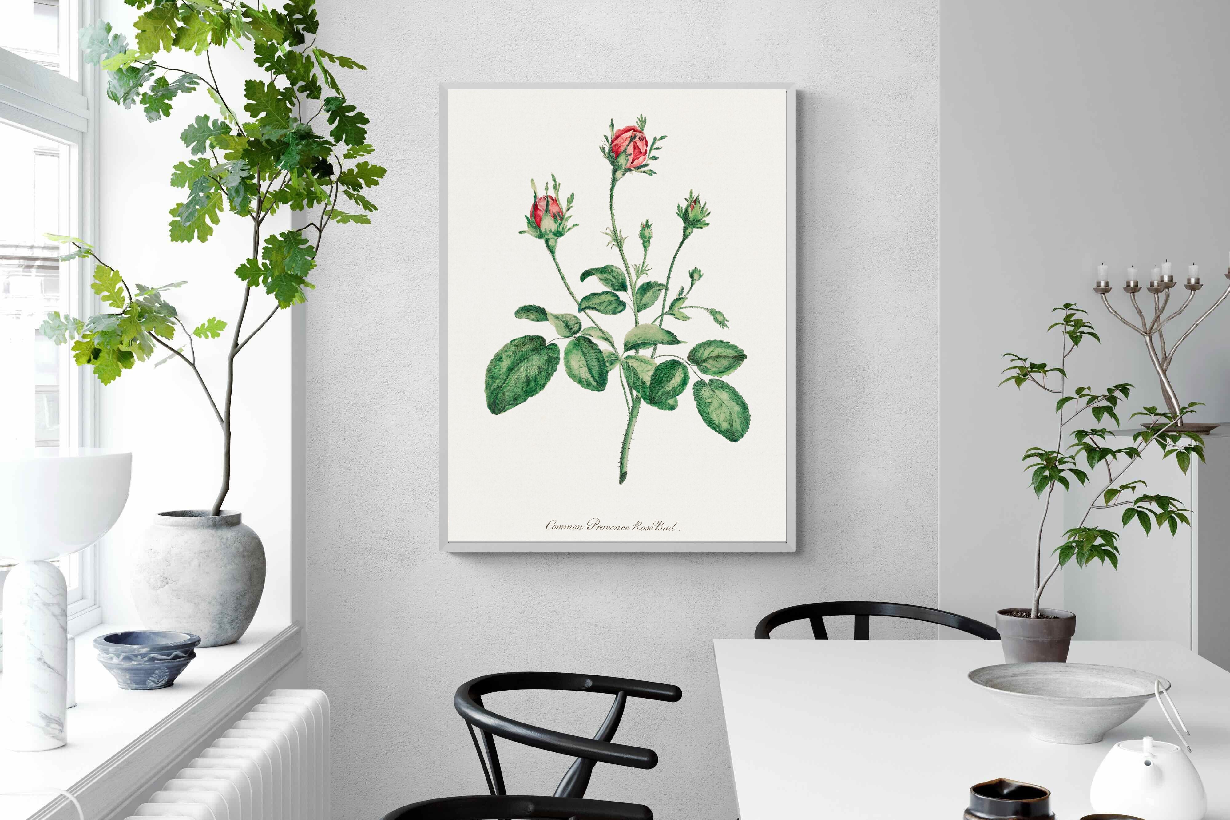 Pixalot Quiet Provence