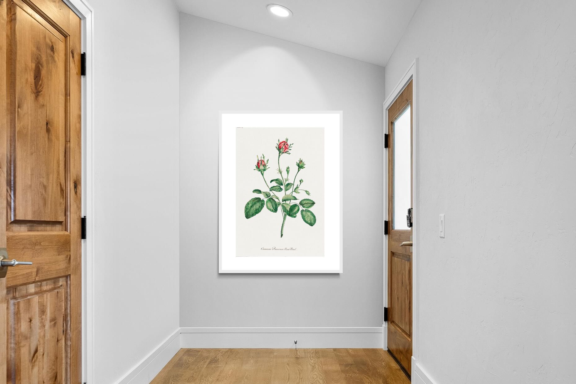 Pixalot Quiet Provence