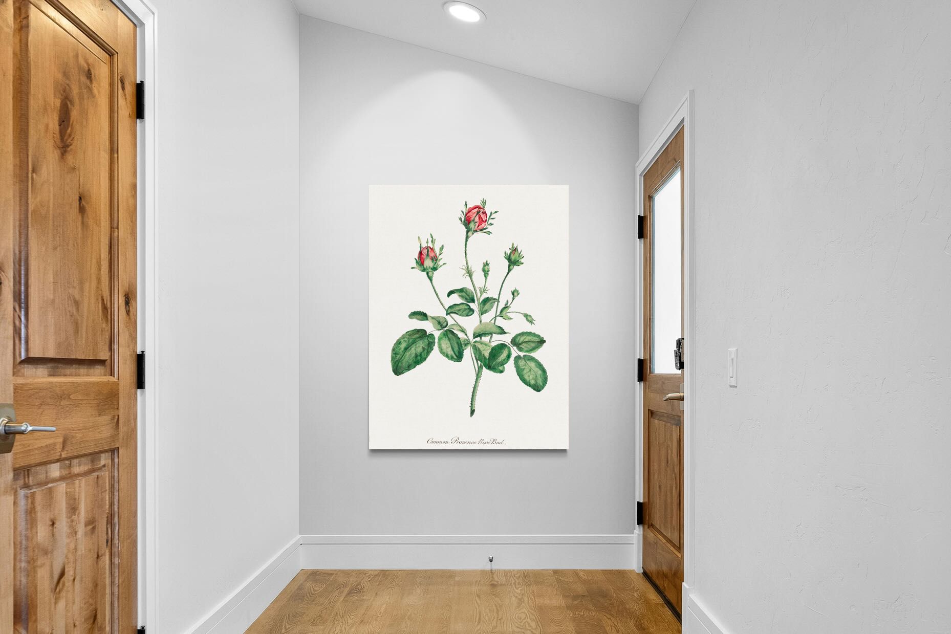 Pixalot Quiet Provence