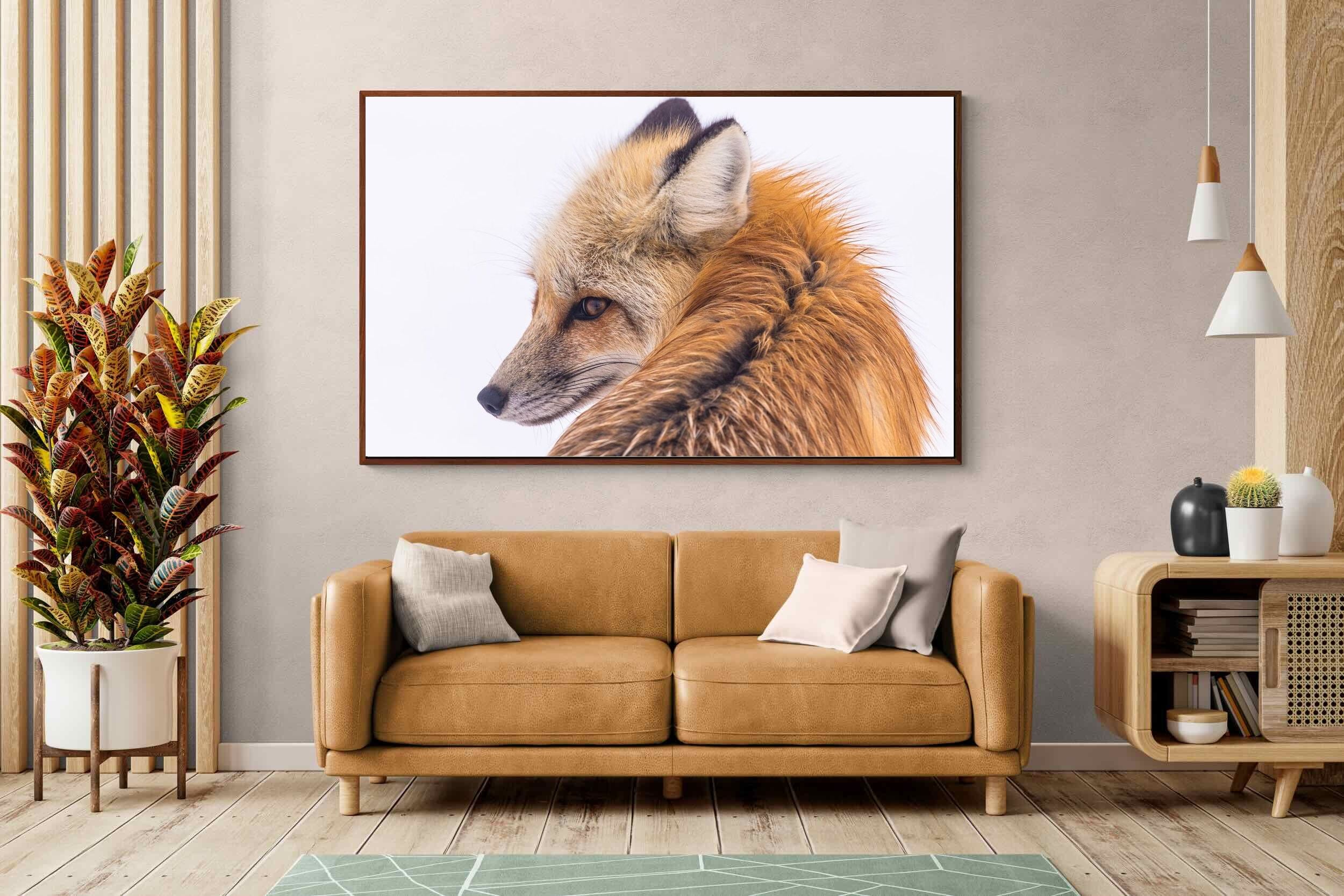 Pixalot Red Fox