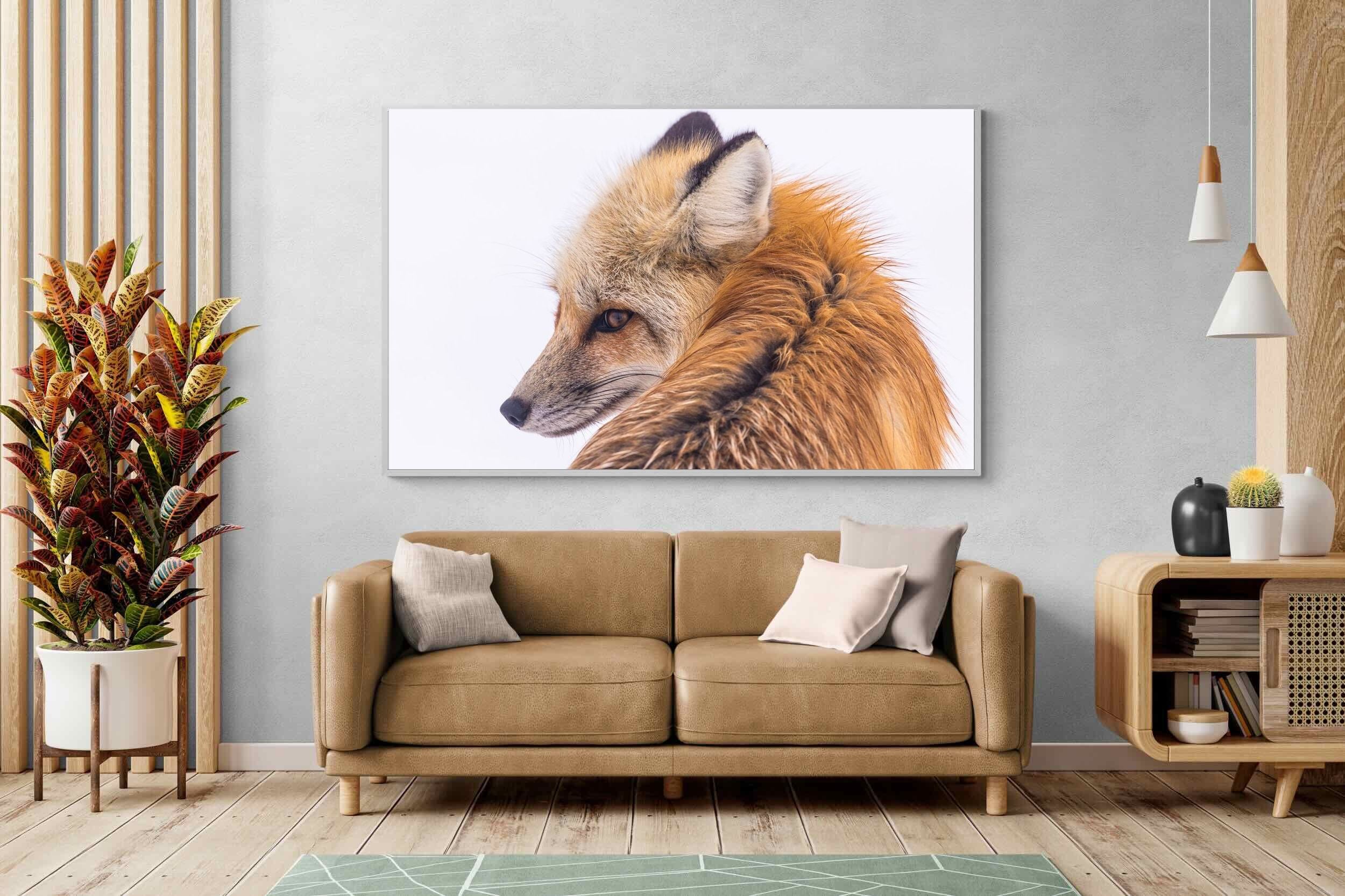 Pixalot Red Fox