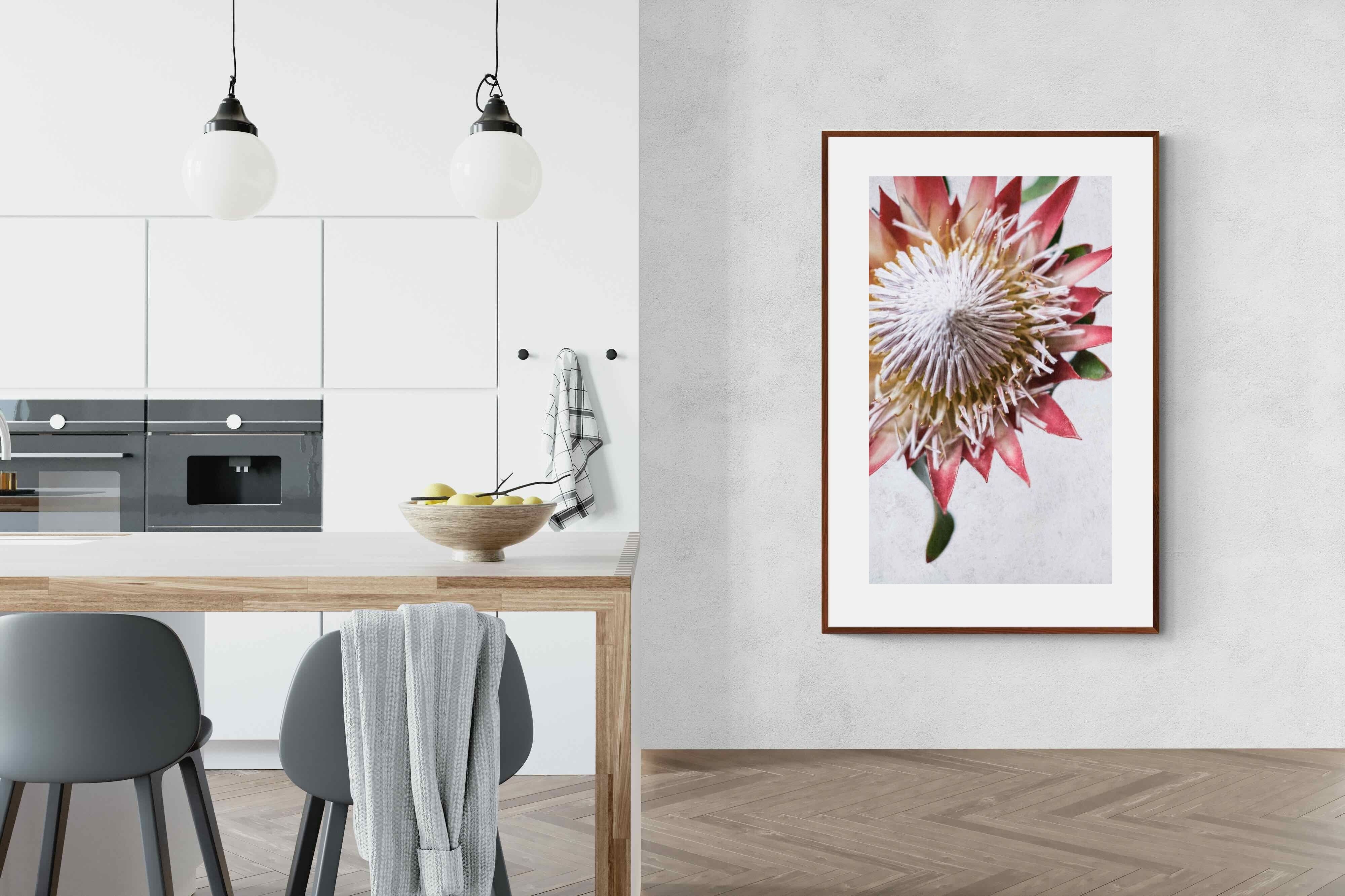 Pixalot Red King Protea