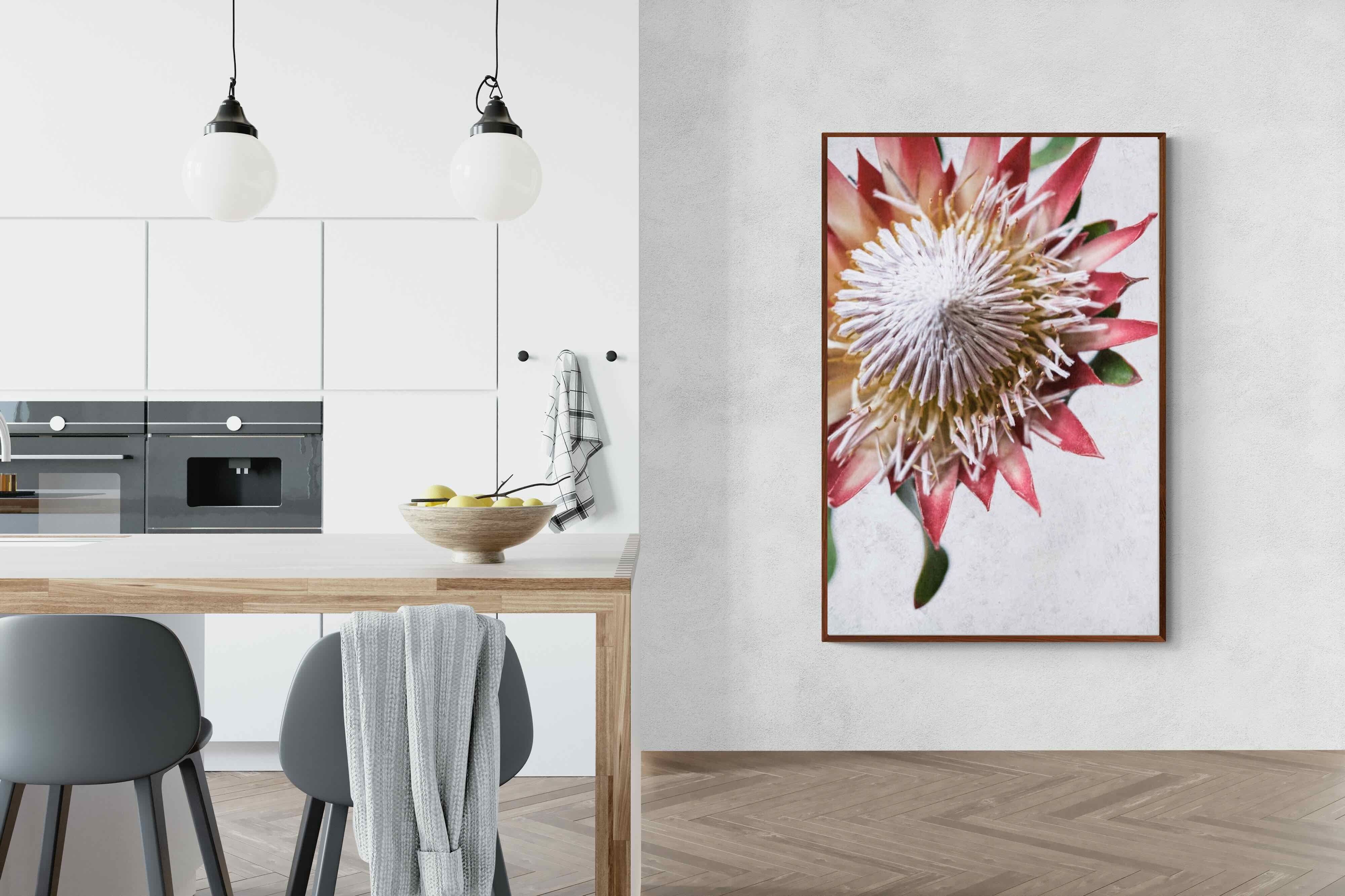 Pixalot Red King Protea