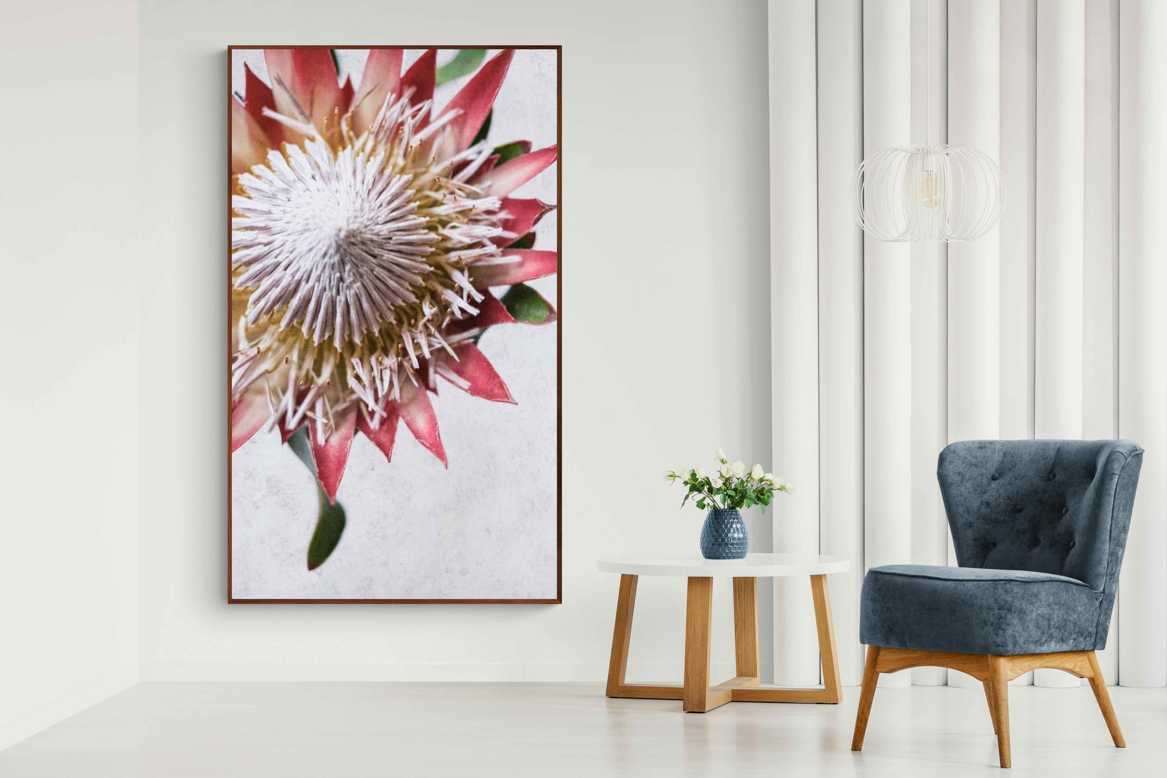 Pixalot Red King Protea