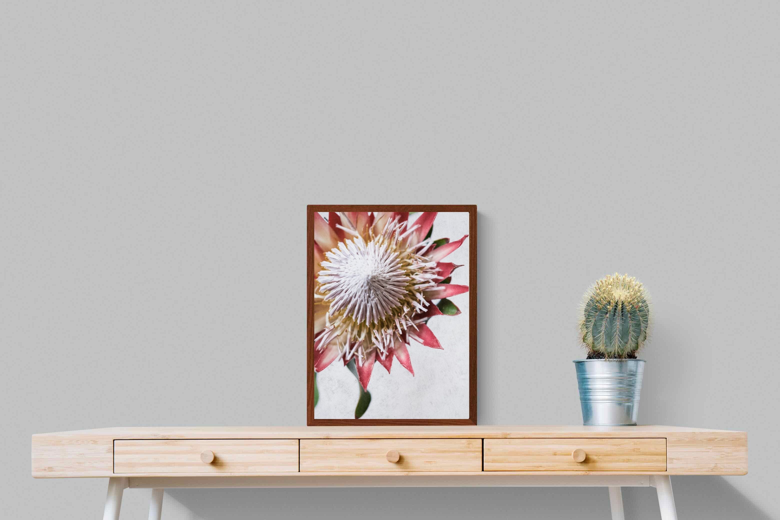 Pixalot Red King Protea