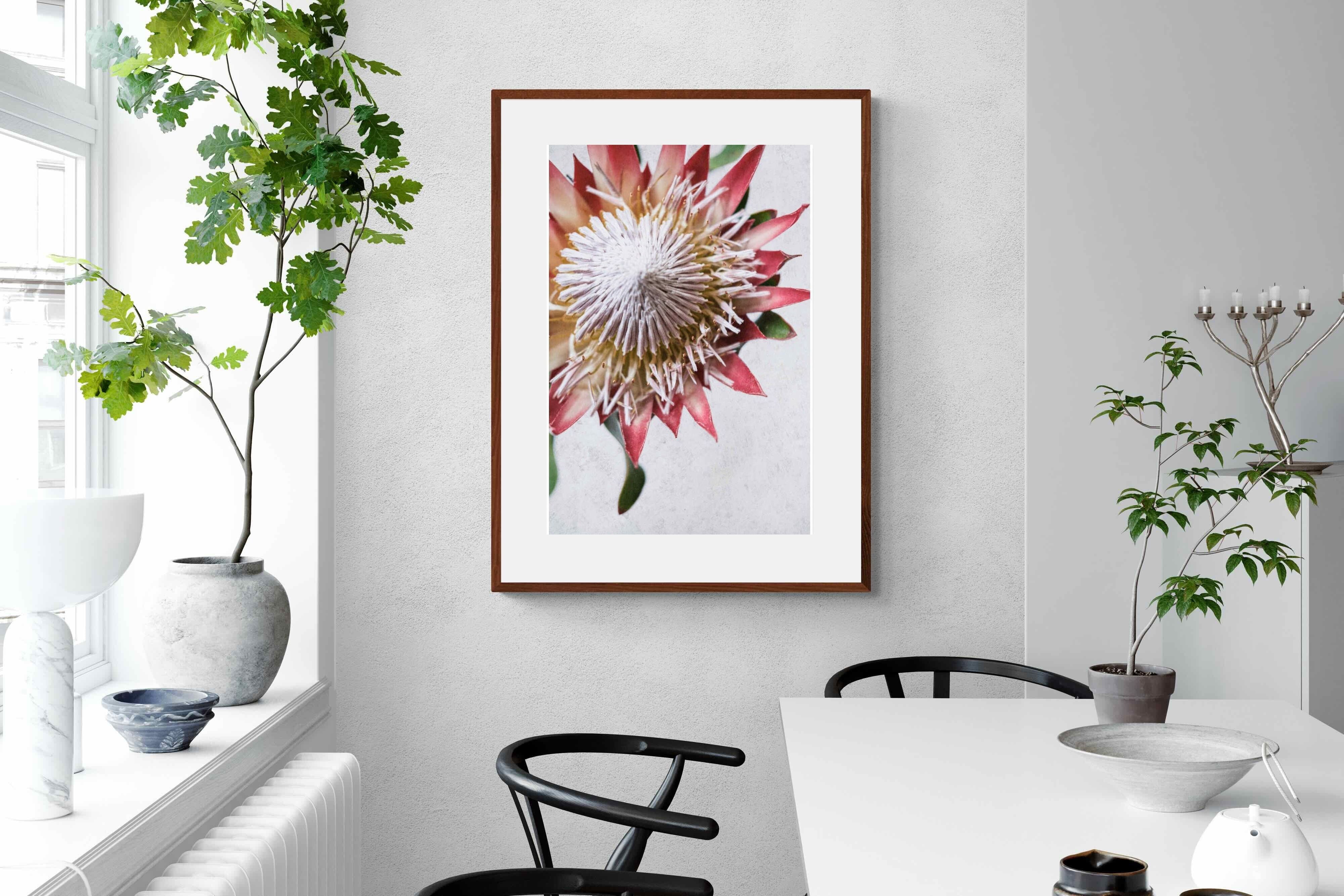 Pixalot Red King Protea