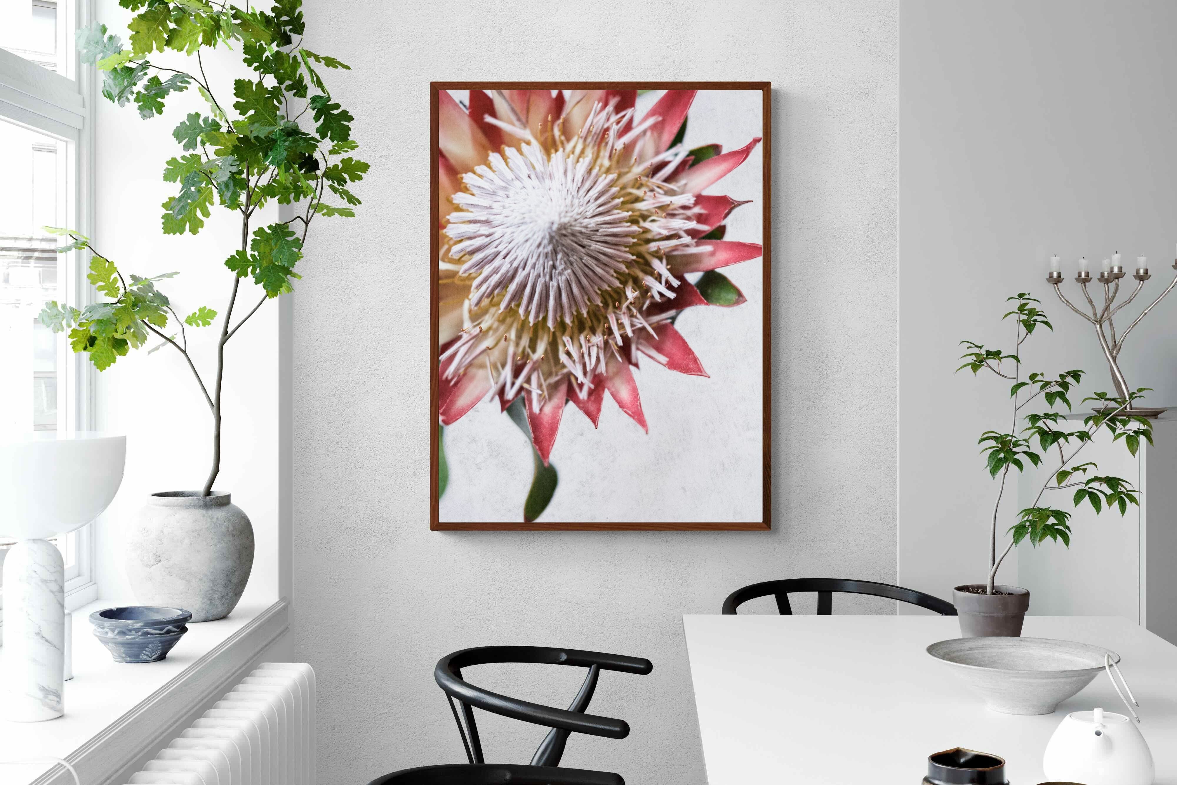 Pixalot Red King Protea