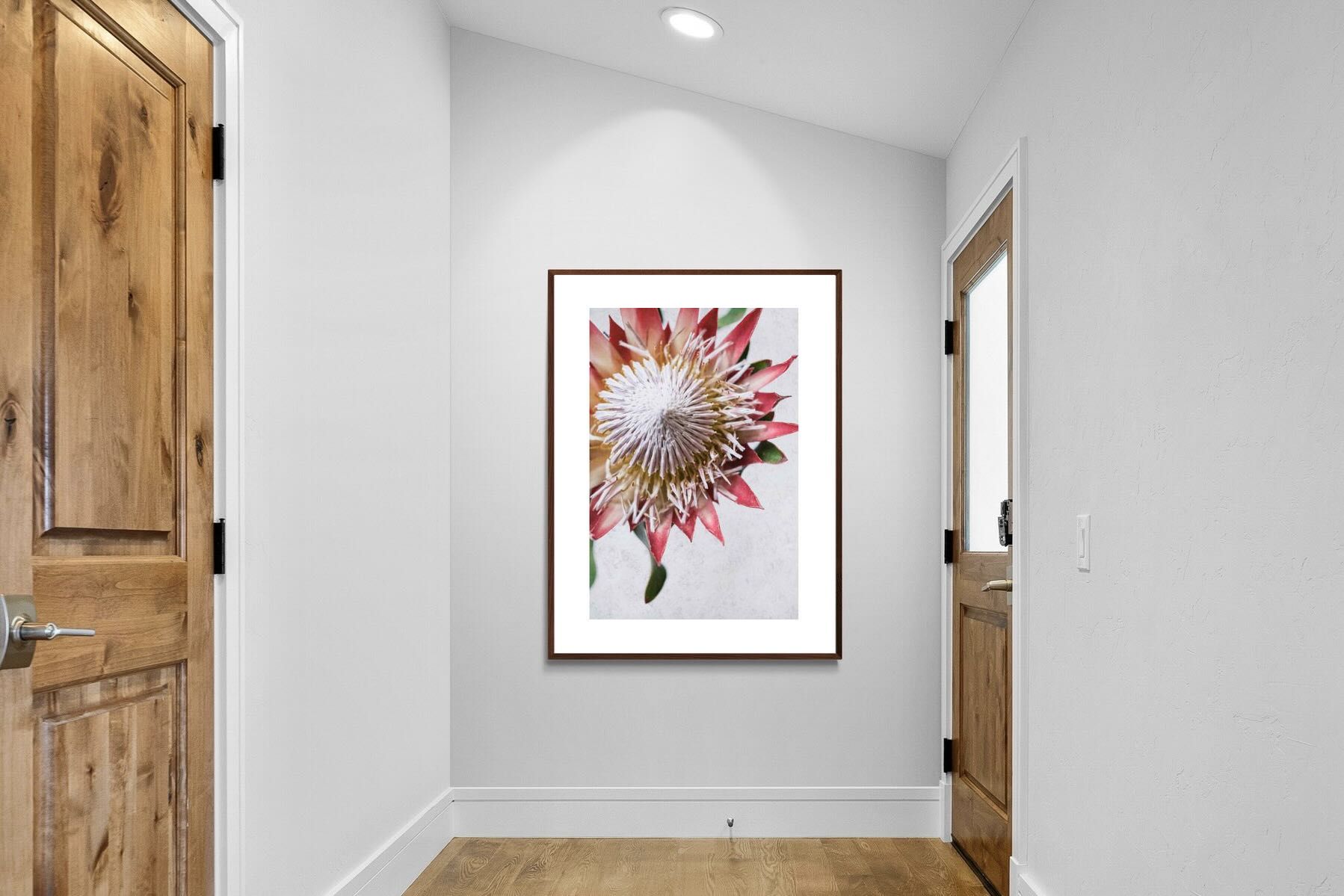 Pixalot Red King Protea