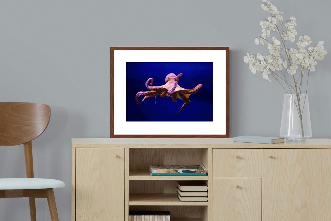 Pixalot ® Red Octopus