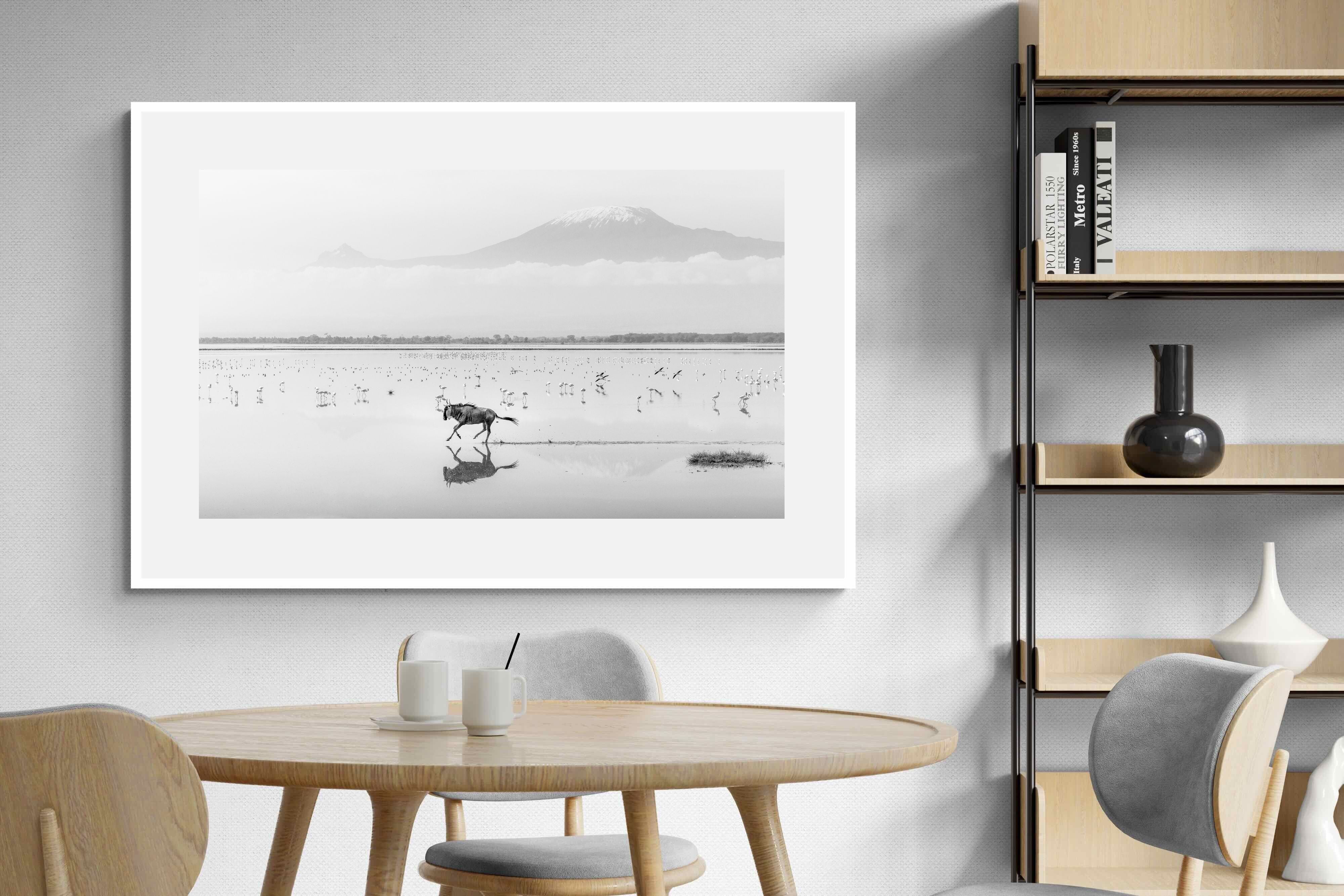 Pixalot Reflection of Freedom