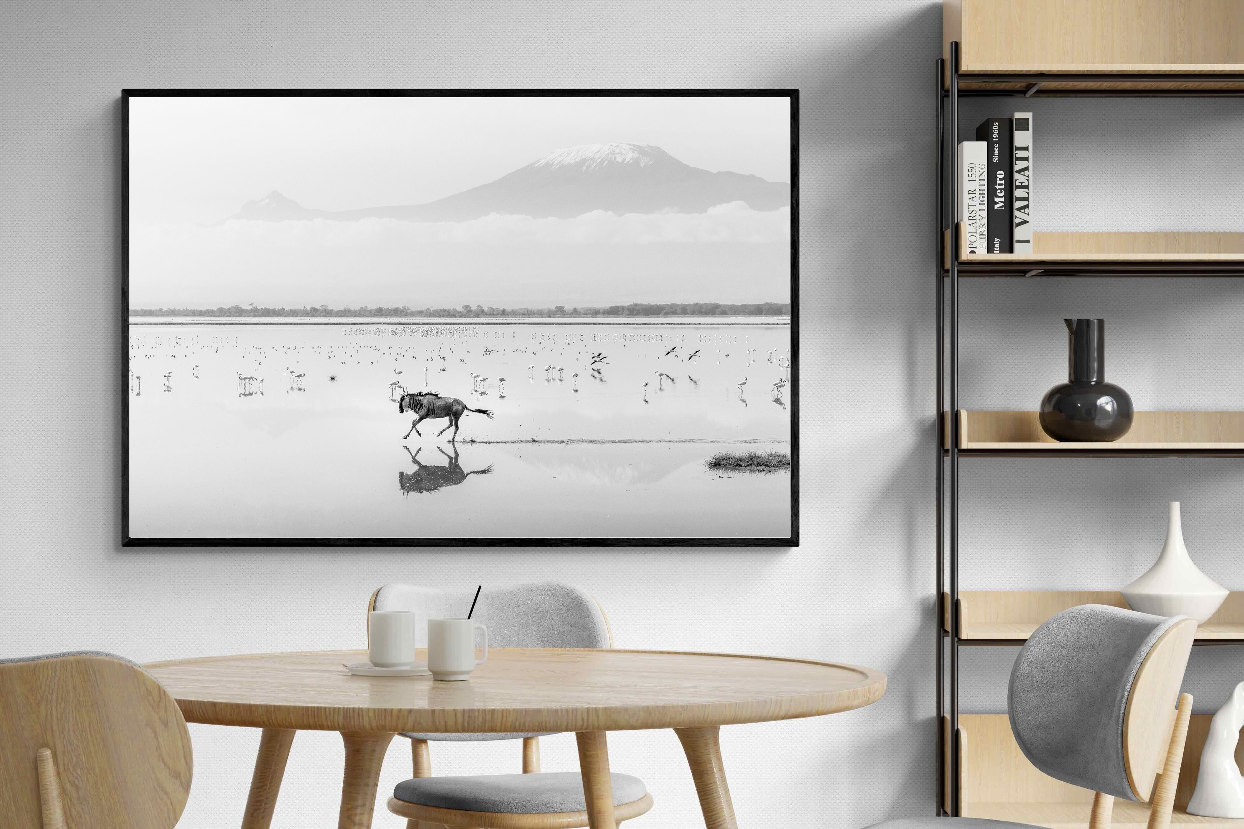 Pixalot Reflection of Freedom