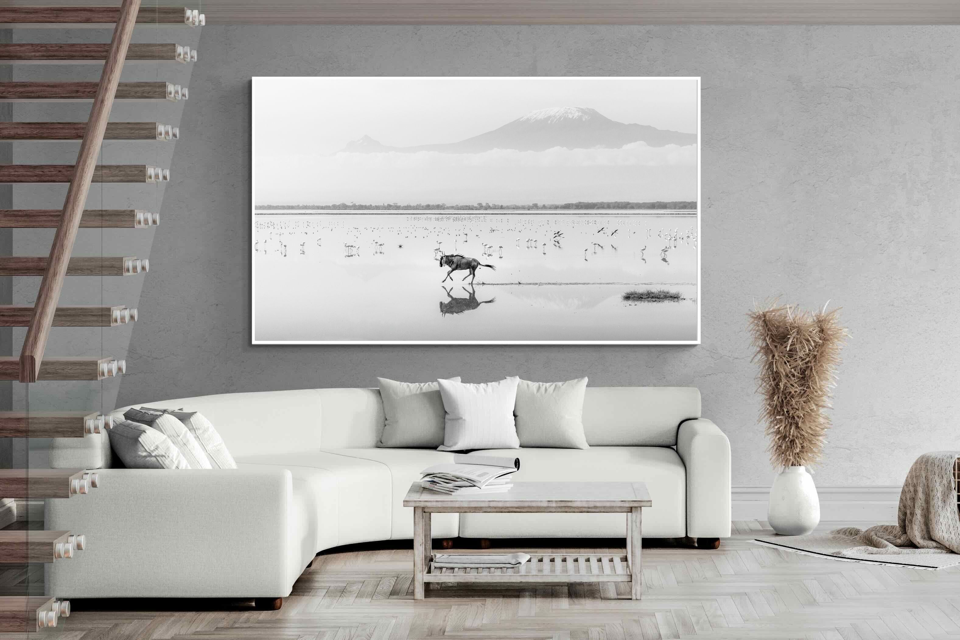 Pixalot Reflection of Freedom