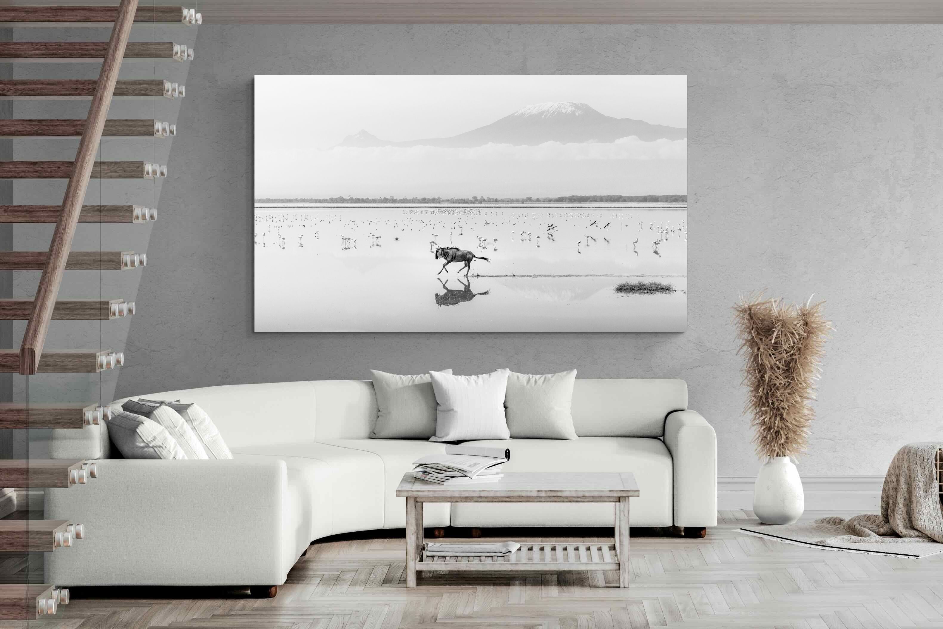 Pixalot Reflection of Freedom