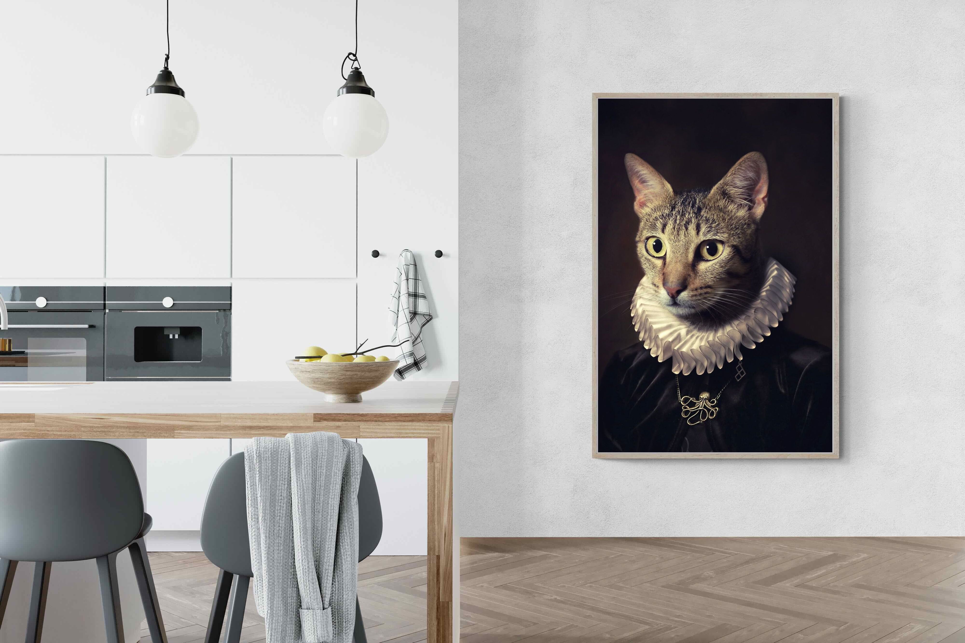Pixalot Regal Cat