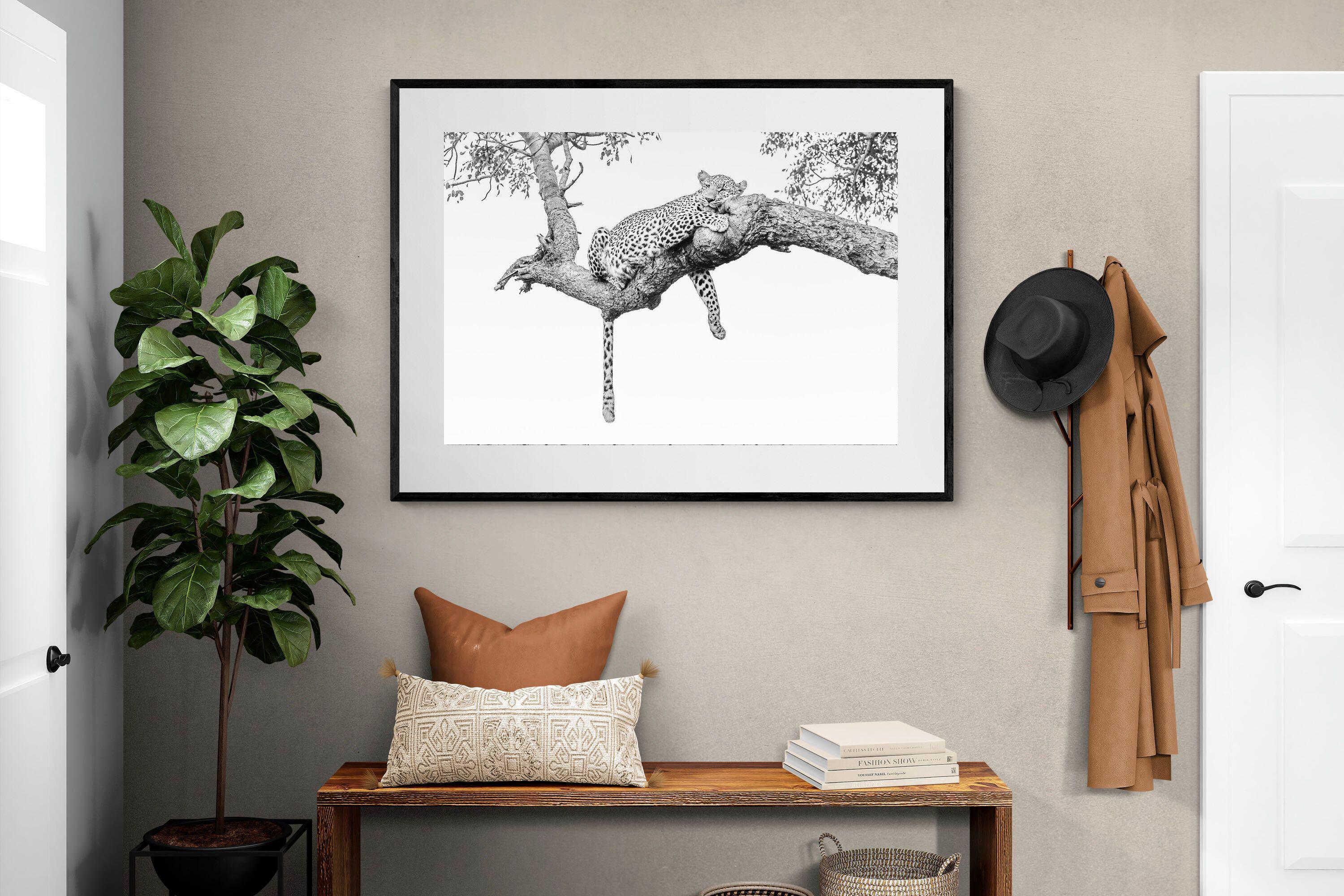 Pixalot Resting Leopard