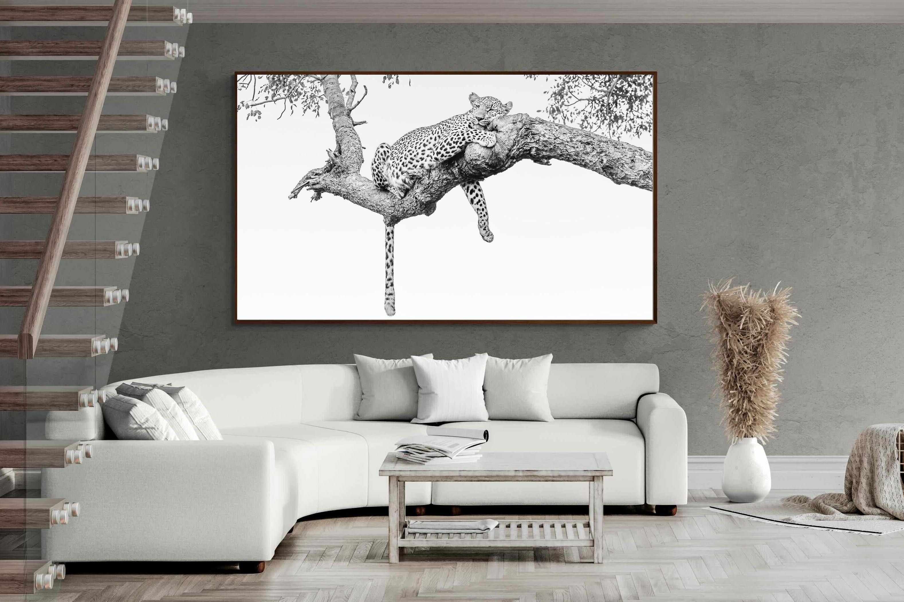 Pixalot ® Resting Leopard