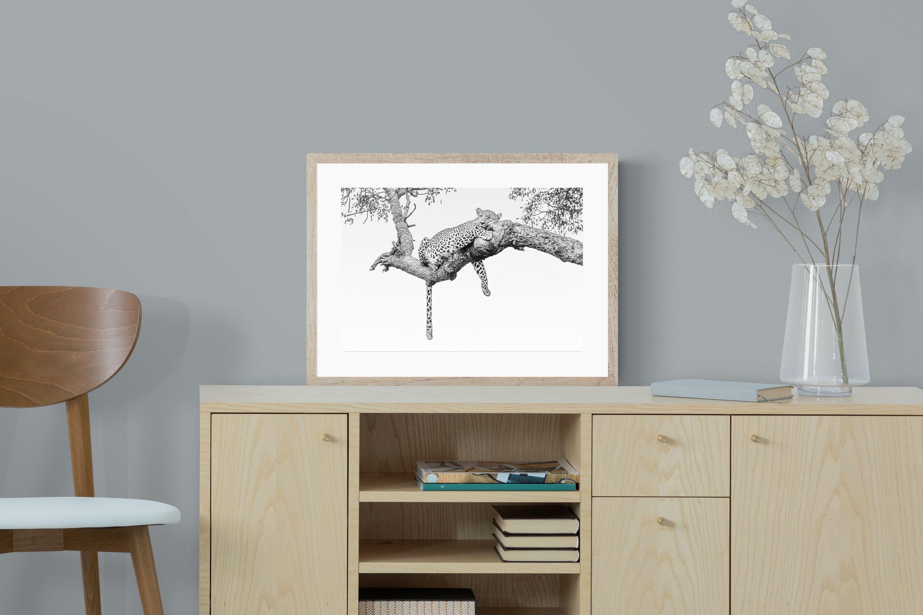 Pixalot Resting Leopard