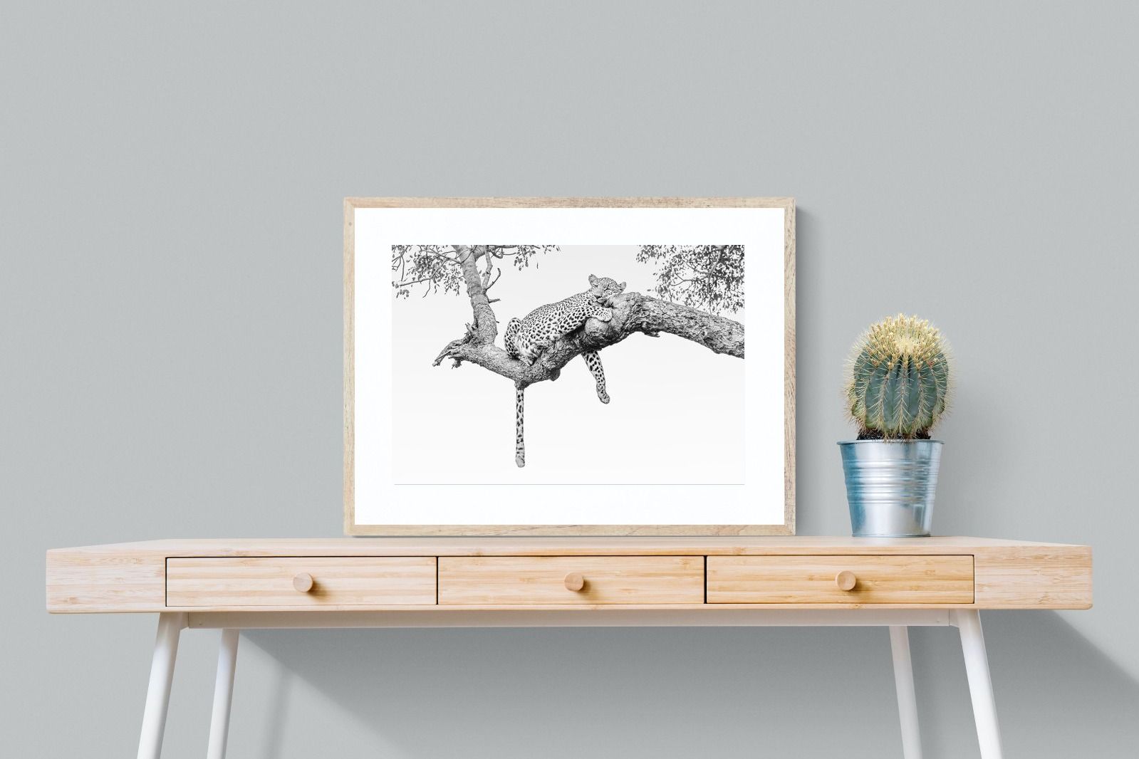 Pixalot Resting Leopard