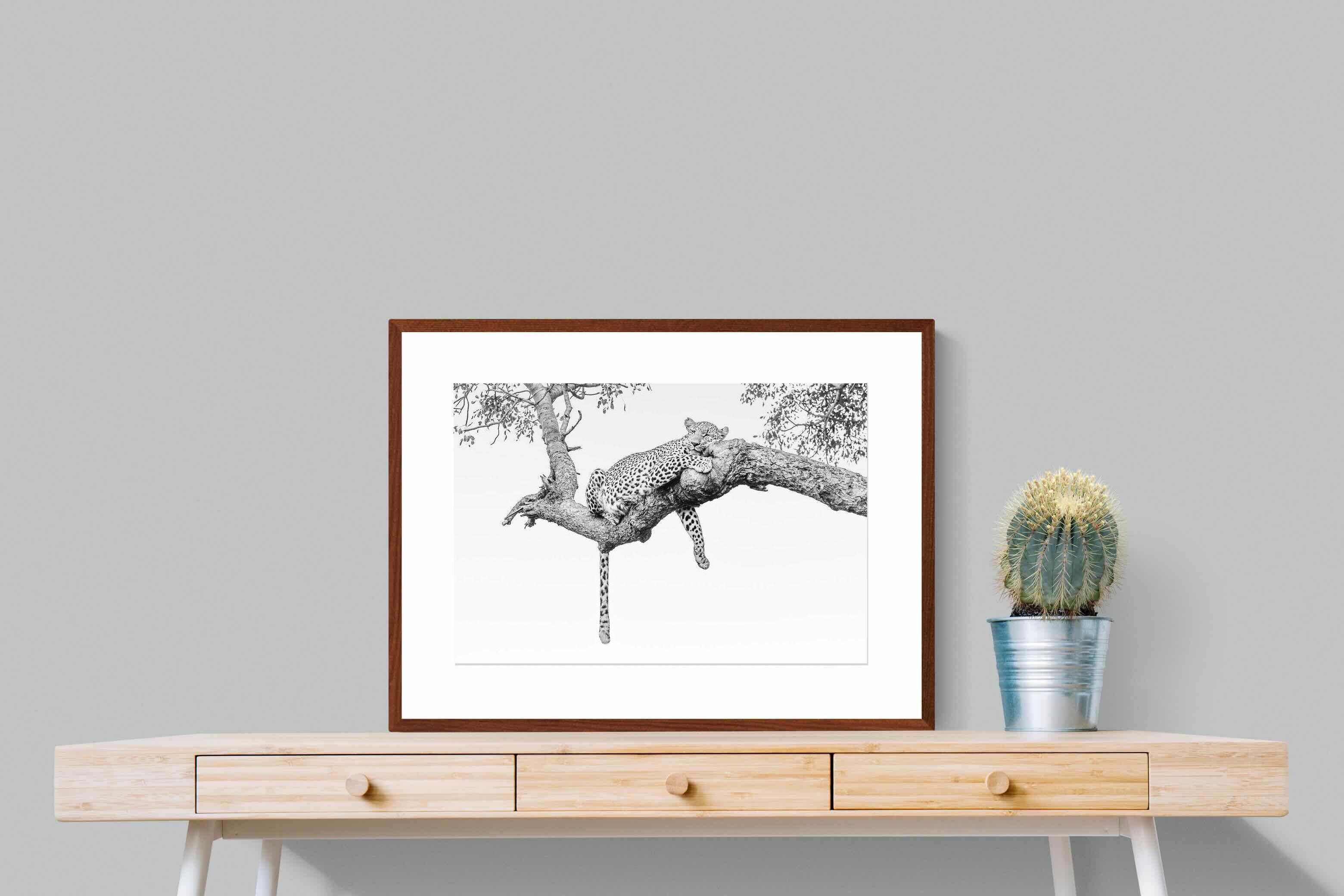 Pixalot ® Resting Leopard