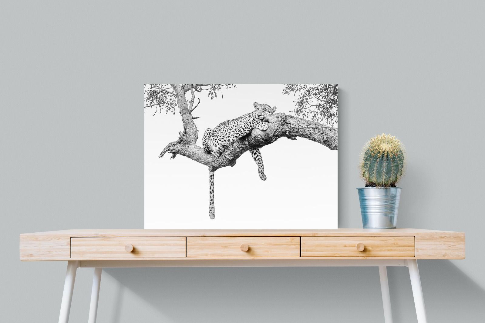 Pixalot Resting Leopard