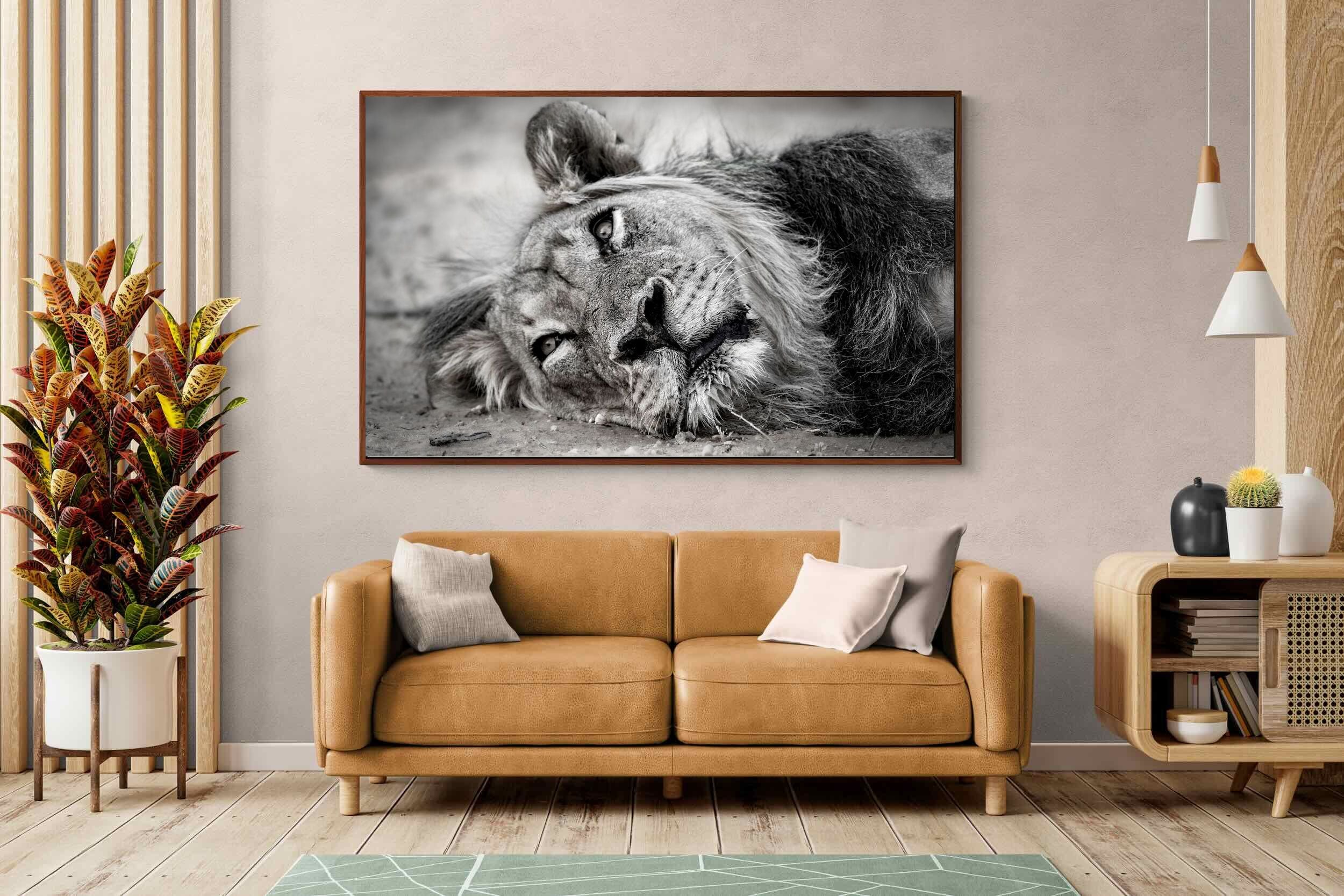 Pixalot ® Resting Lion
