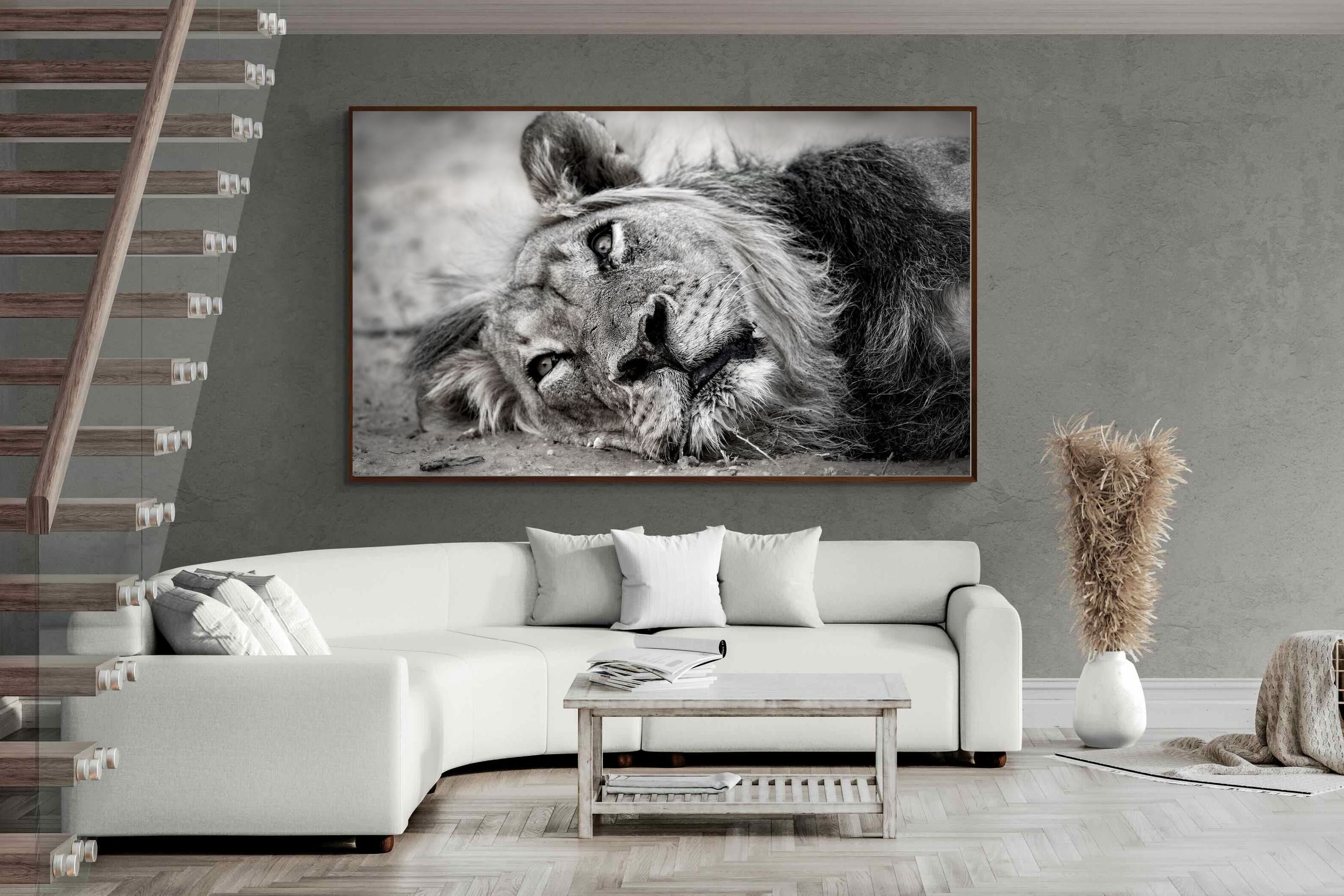 Pixalot ® Resting Lion