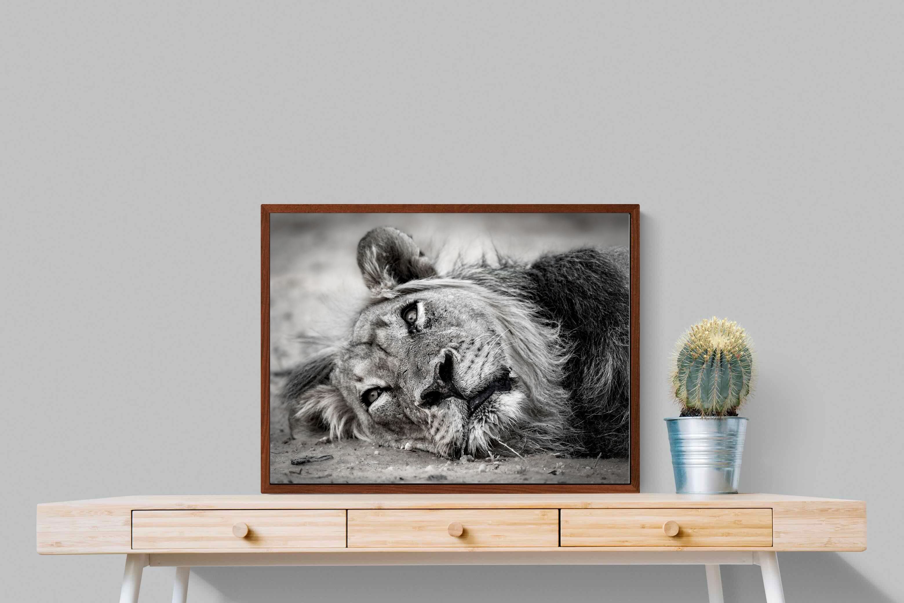 Pixalot ® Resting Lion