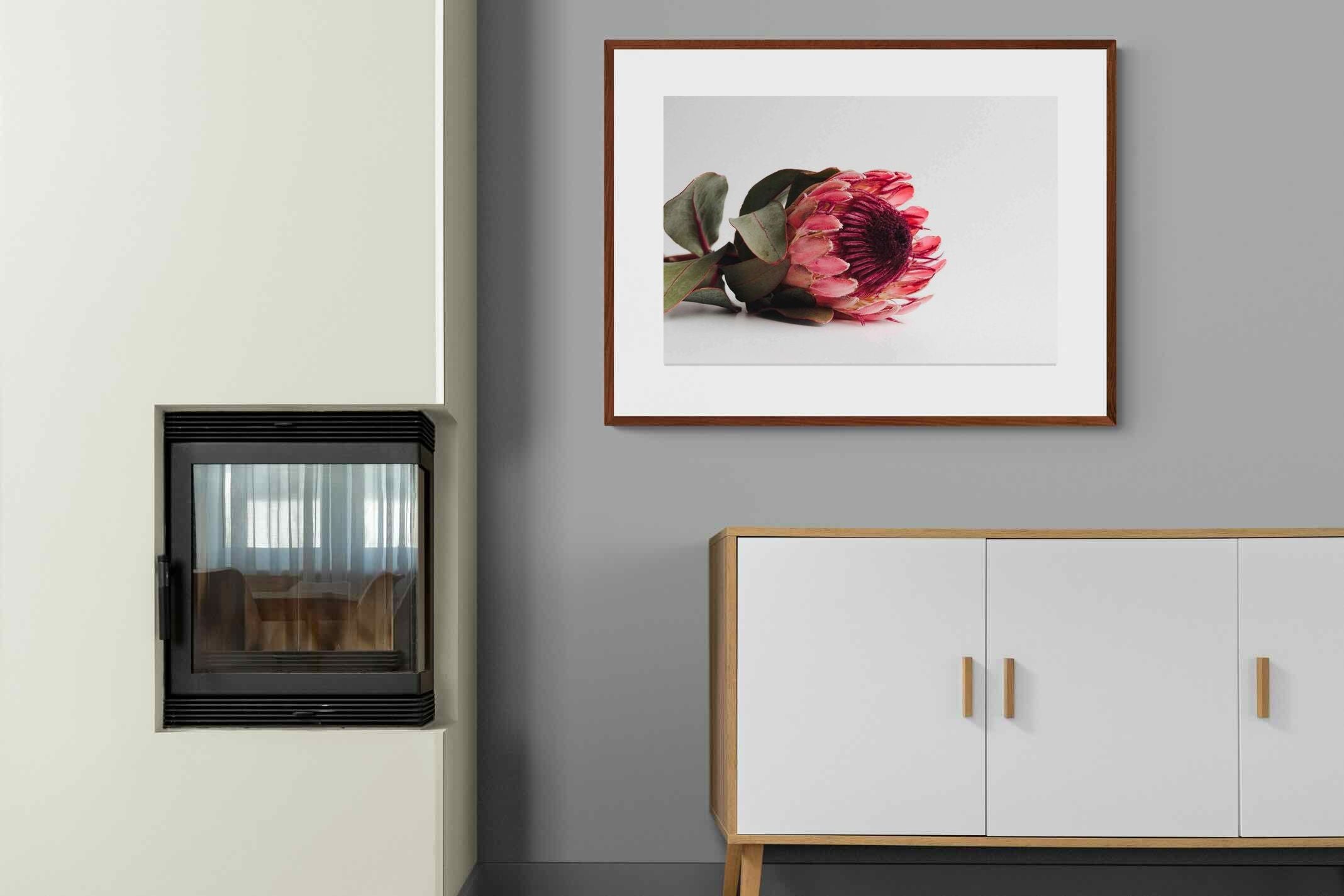 Pixalot ® Resting Protea
