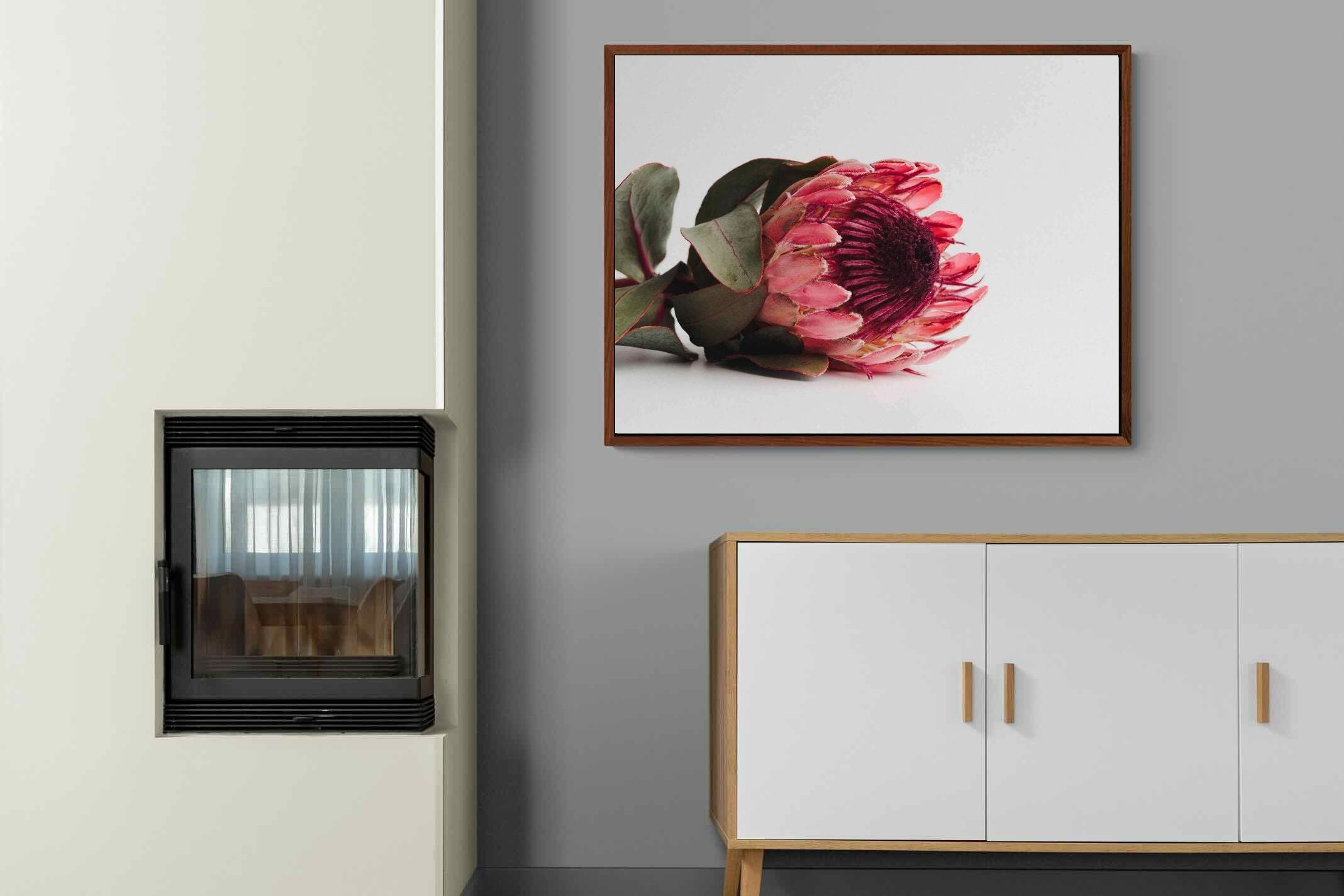 Pixalot ® Resting Protea