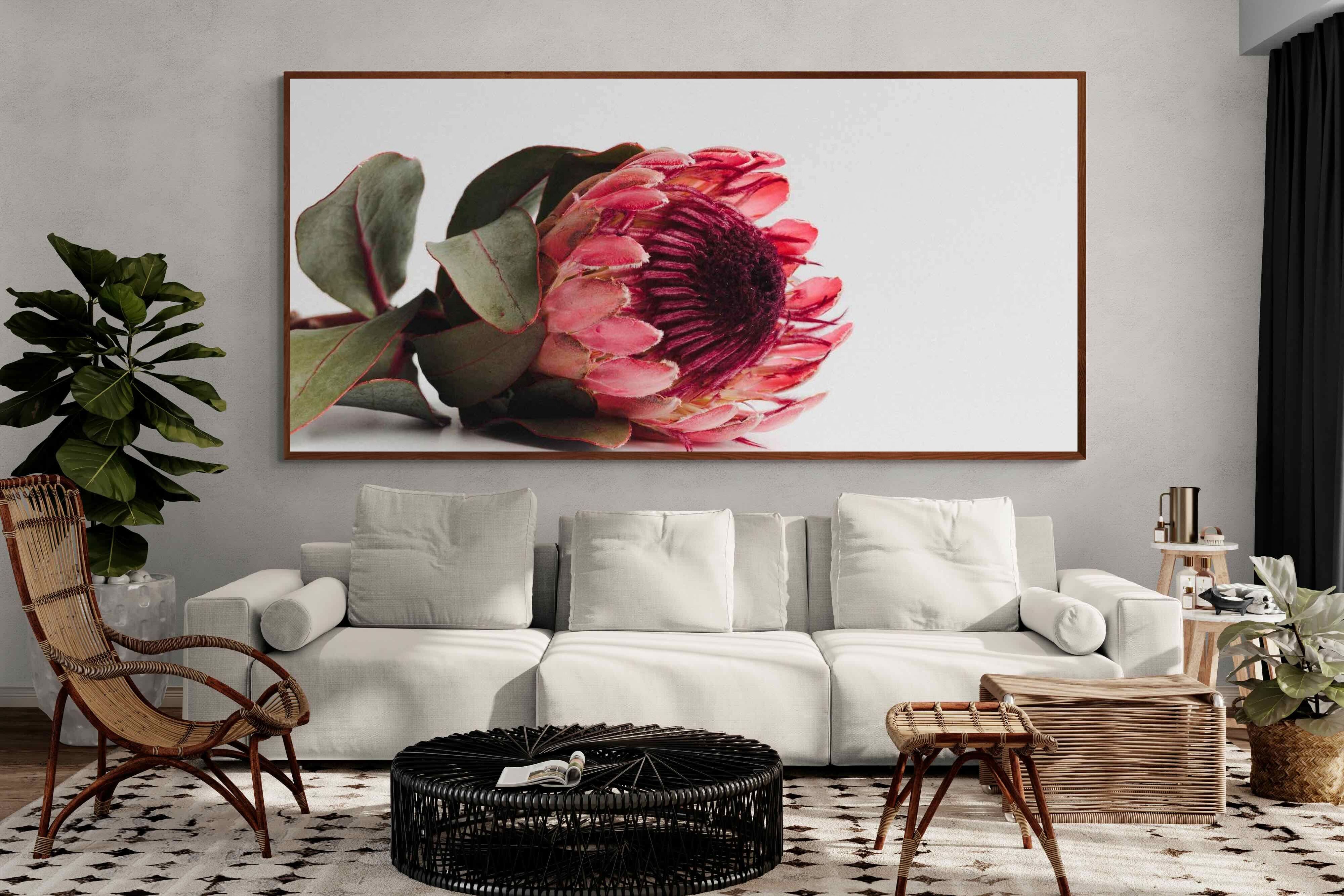 Pixalot ® Resting Protea