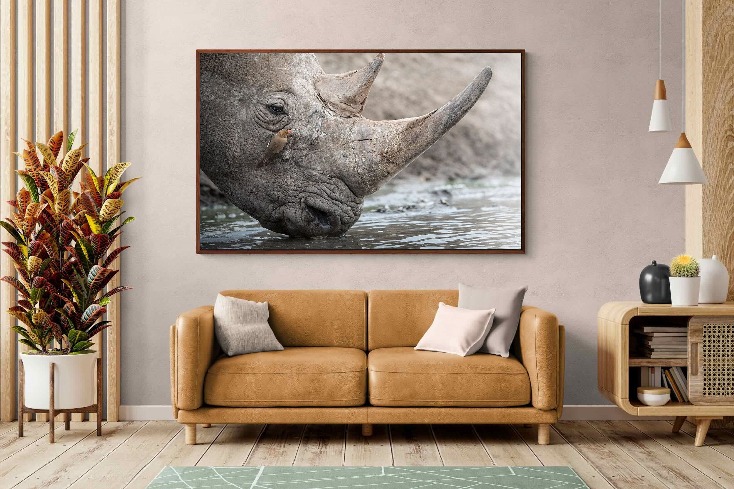 Pixalot Rhino & Friend