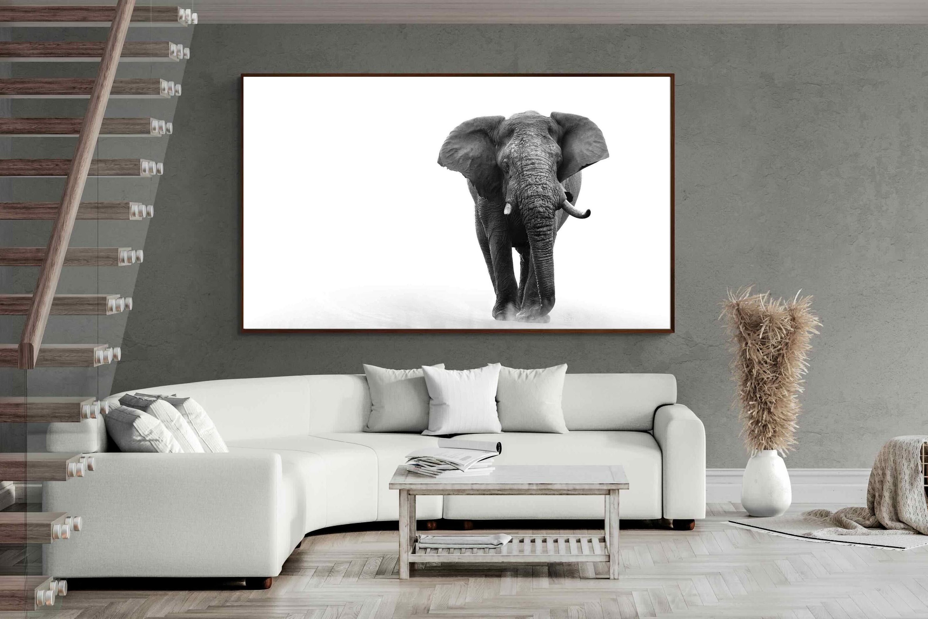 Pixalot ® Roaming Bull