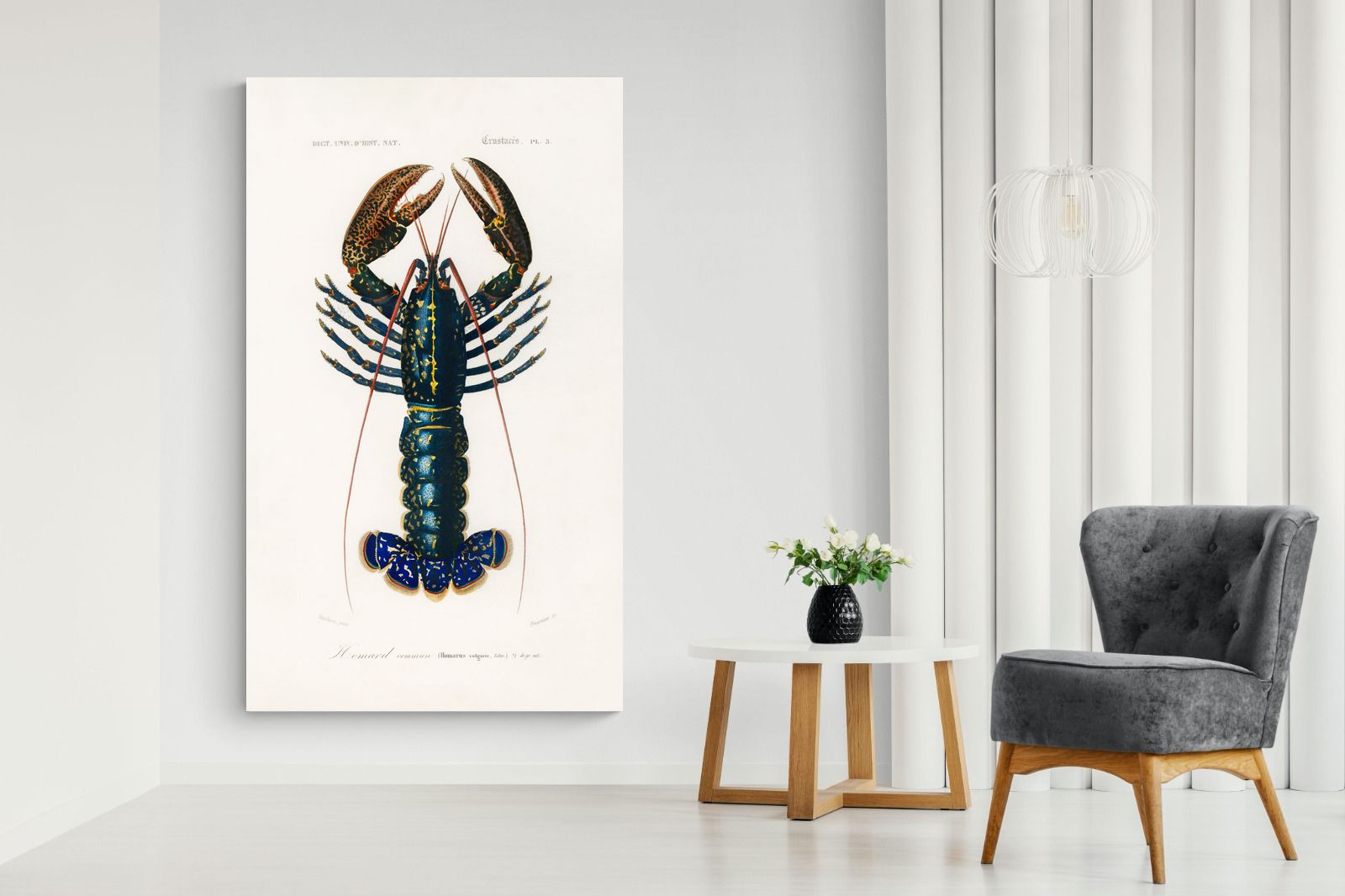 Pixalot Royal Lobster