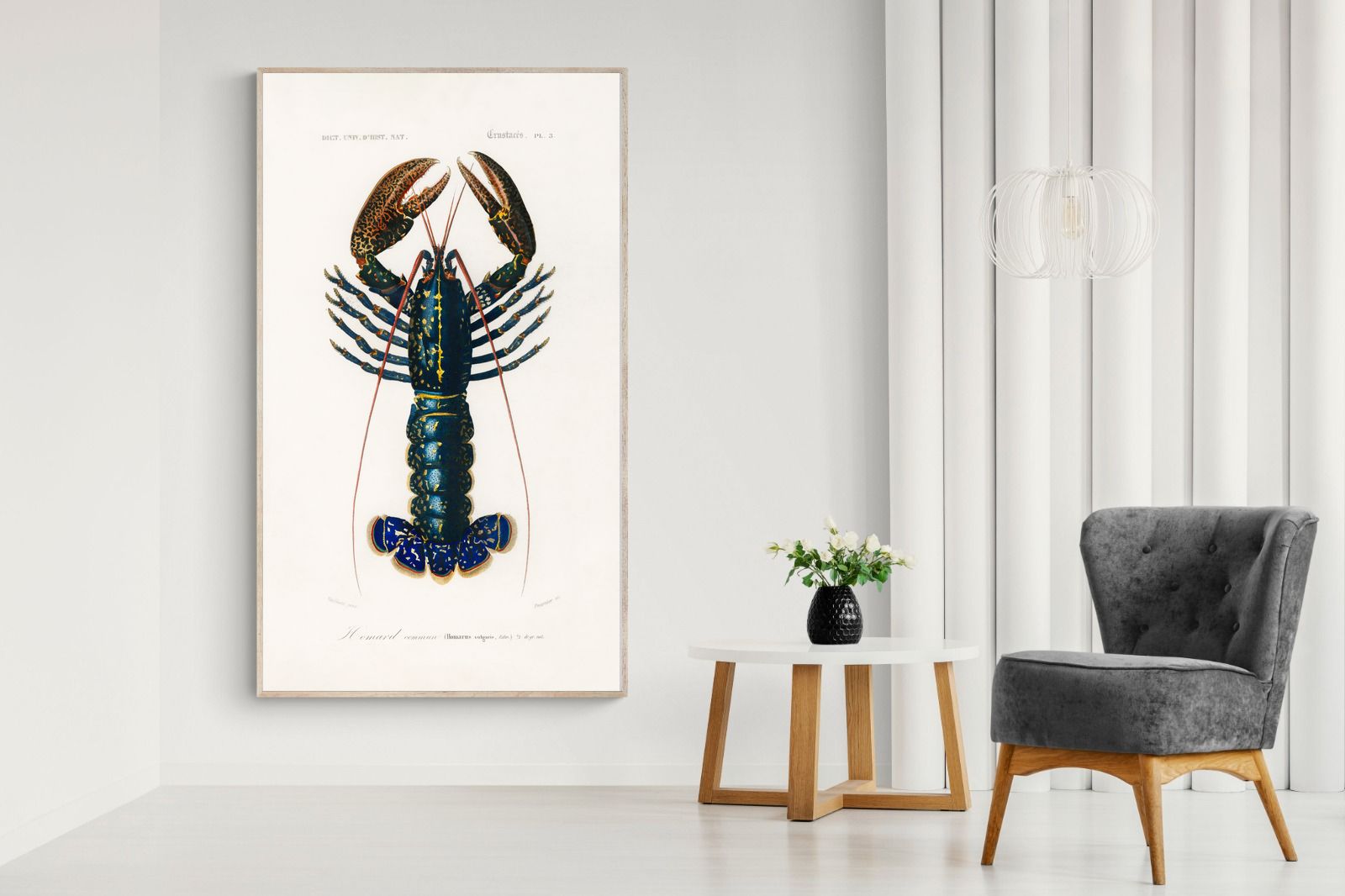 Pixalot Royal Lobster