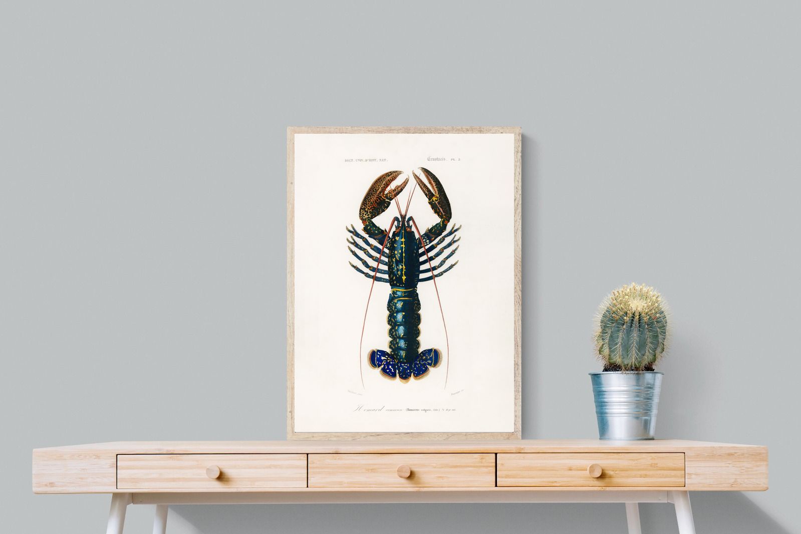 Pixalot Royal Lobster