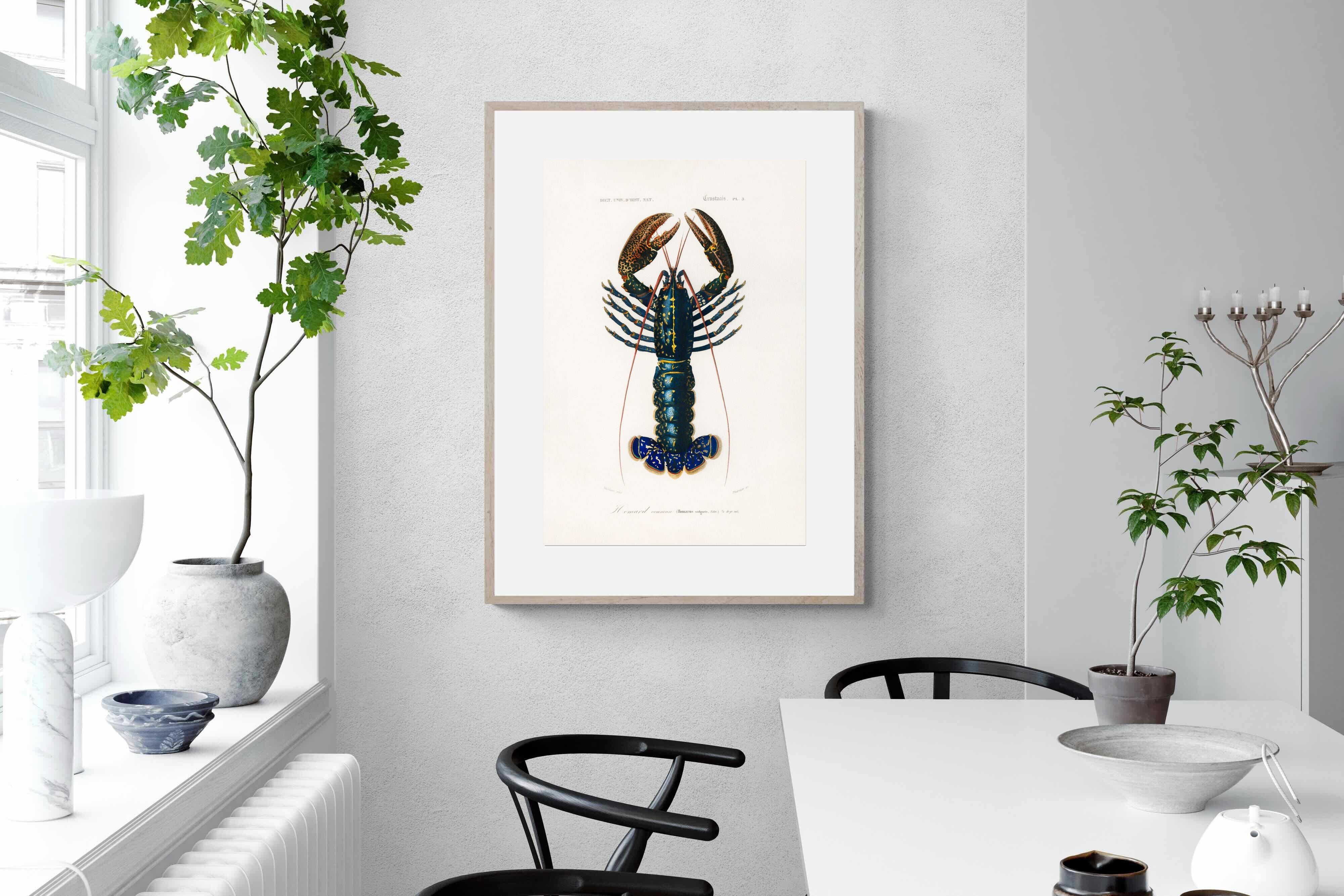 Pixalot Royal Lobster