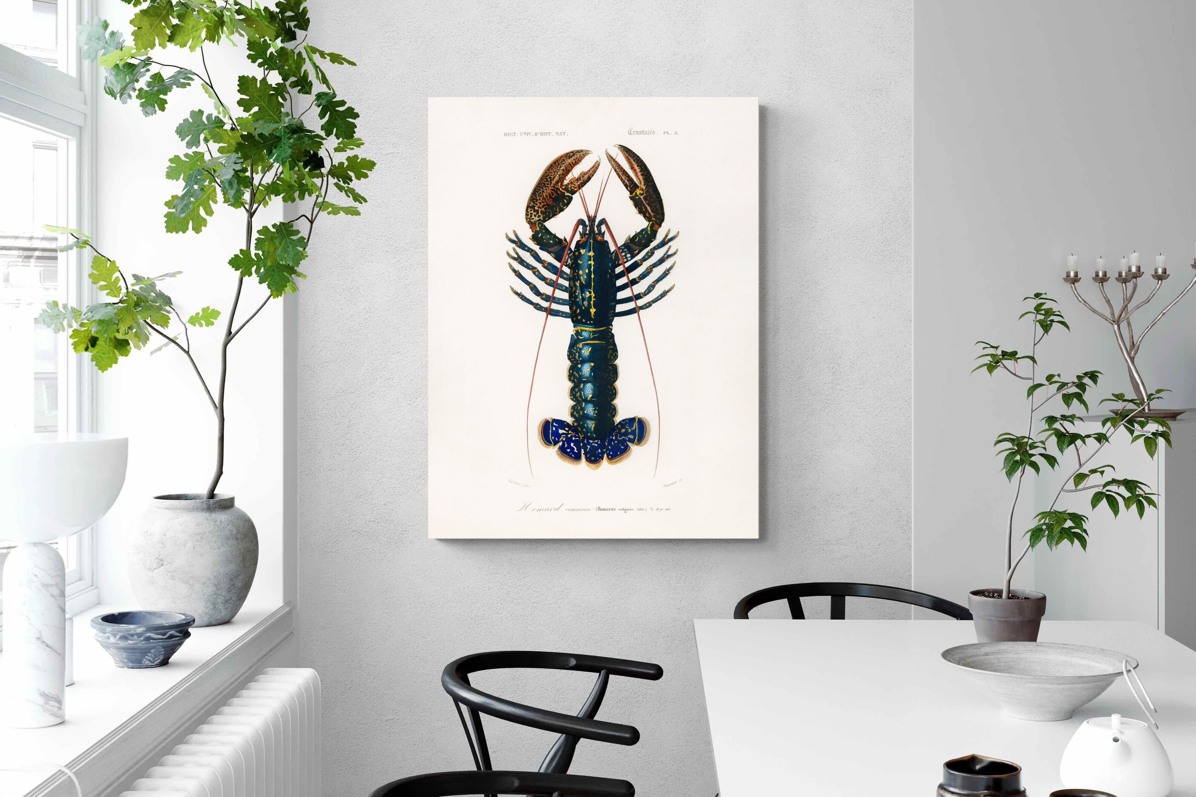 Pixalot Royal Lobster