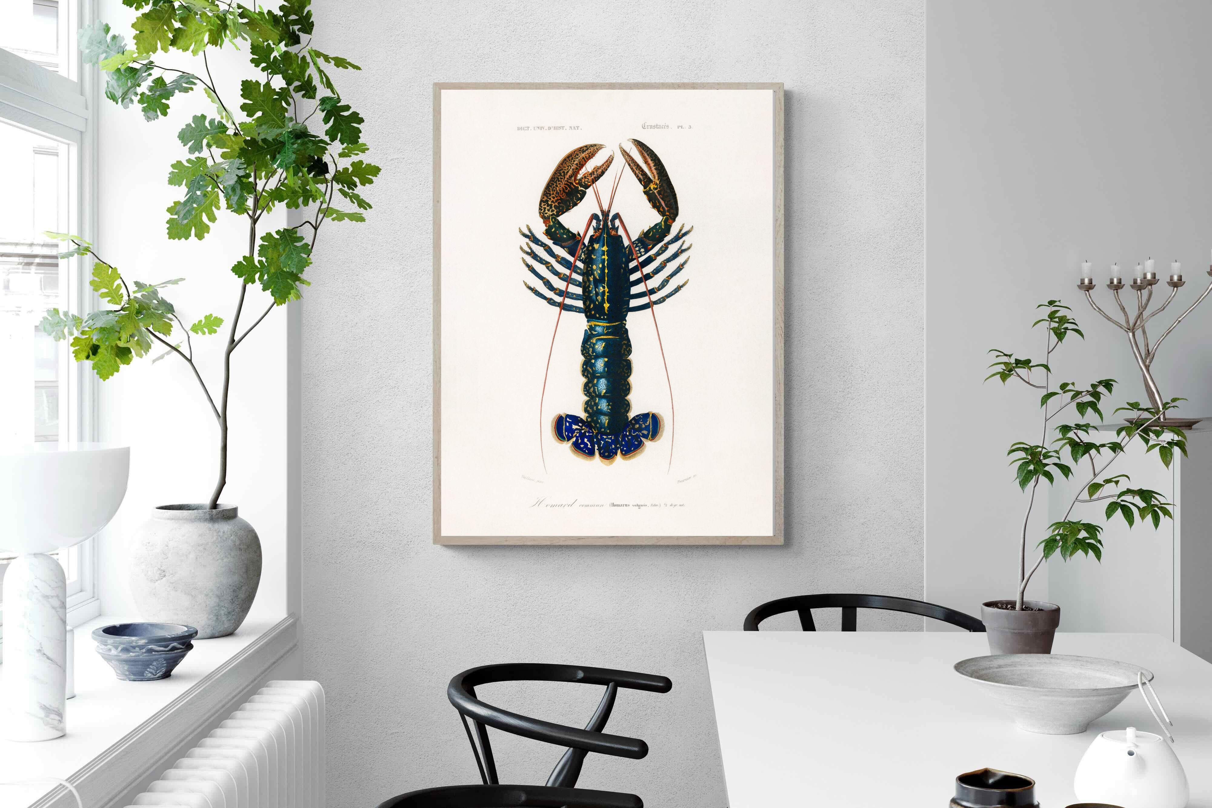 Pixalot Royal Lobster