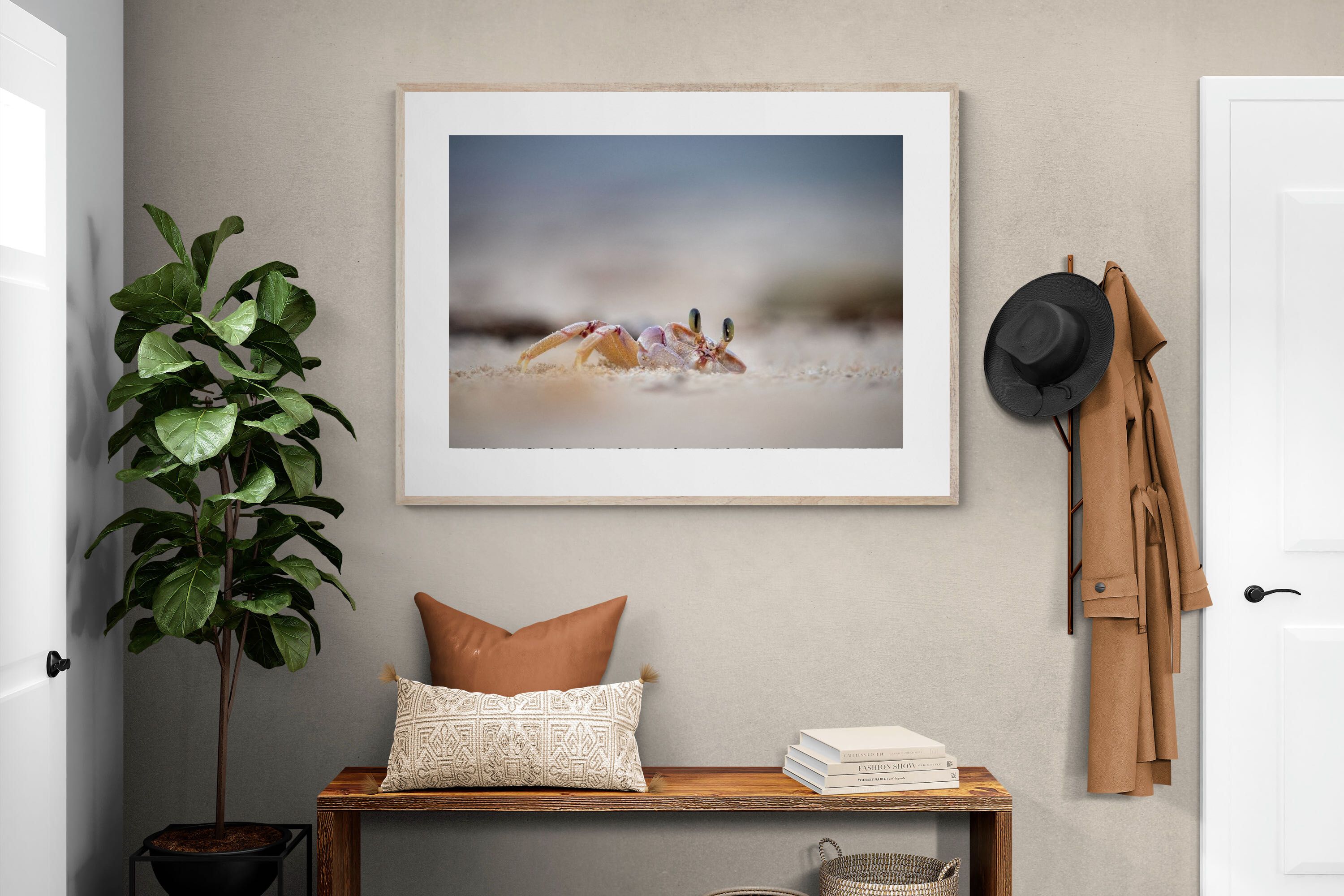 Pixalot Sand Crab
