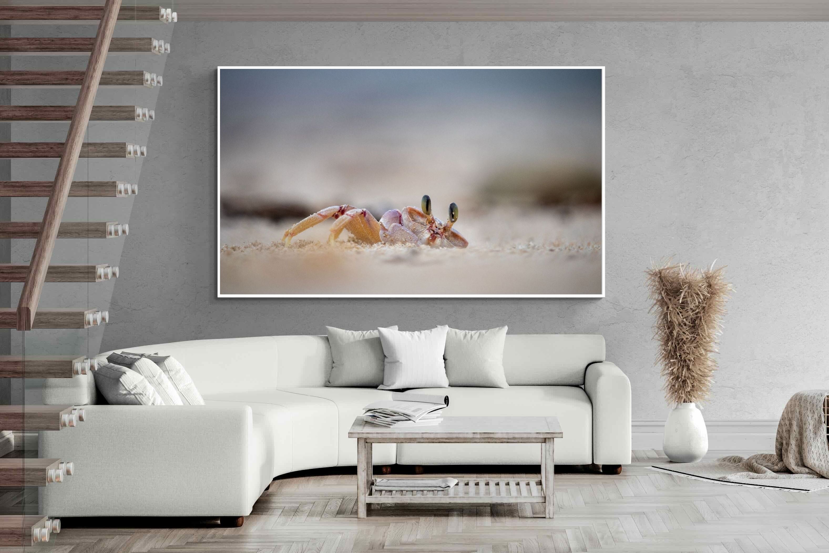 Pixalot Sand Crab