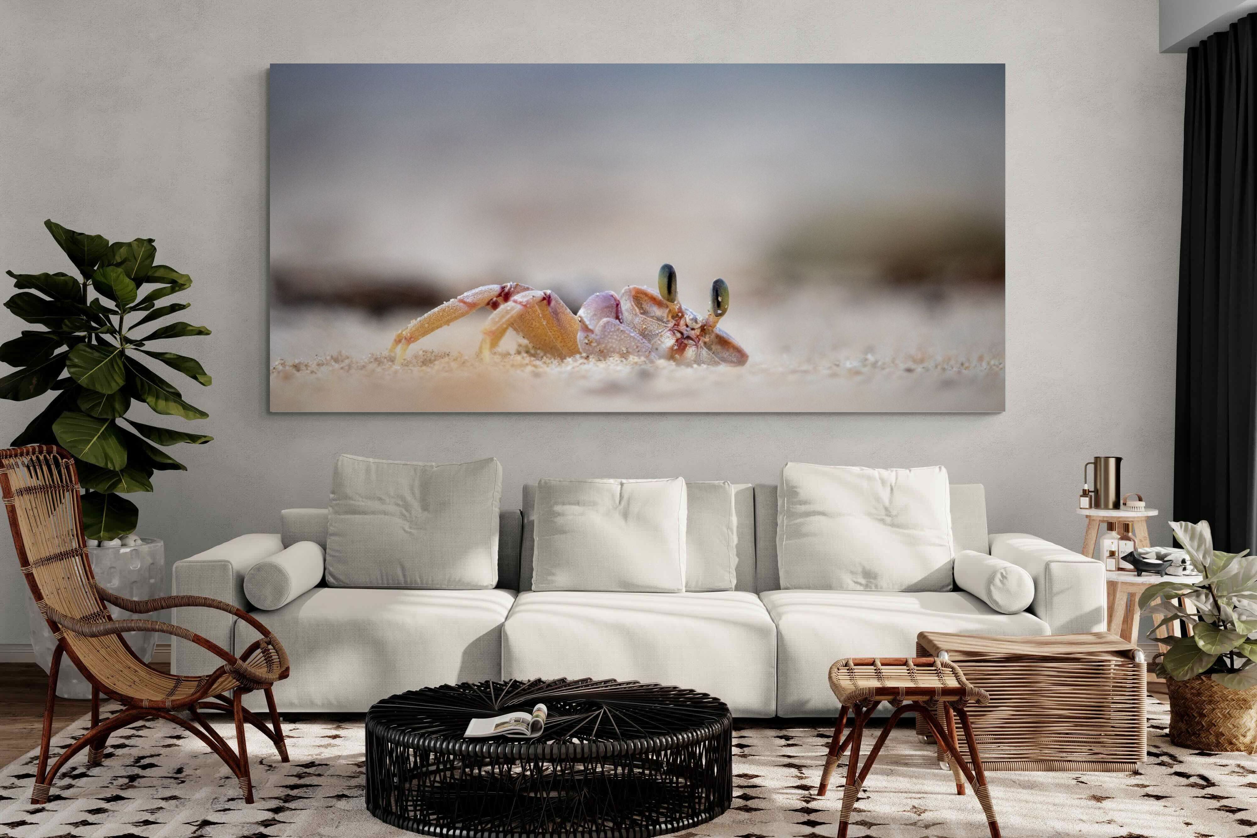 Pixalot Sand Crab